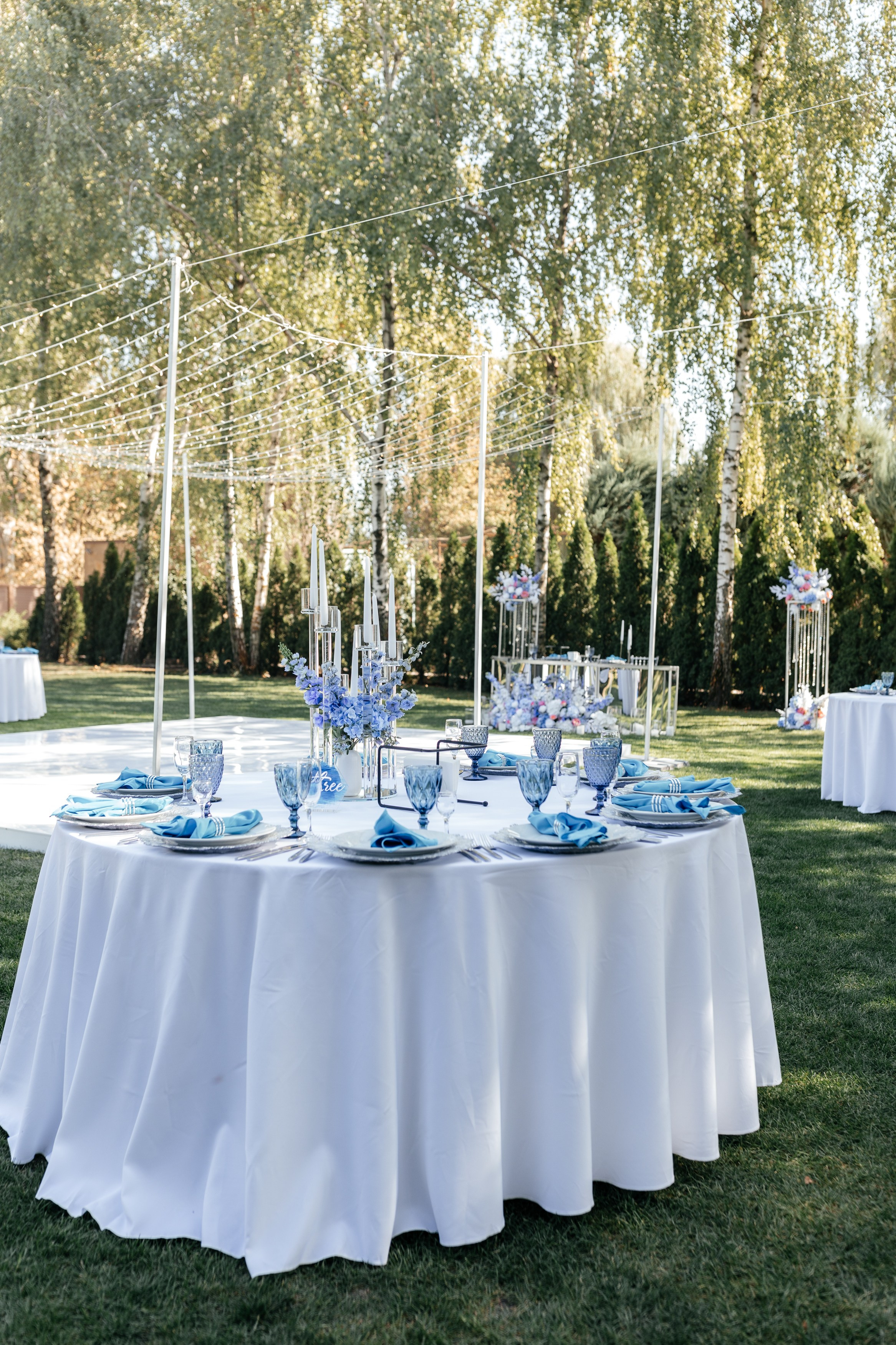 Аня и Дима. Свадебный и портретный фотограф в Запорожье Украина Elena Marshall