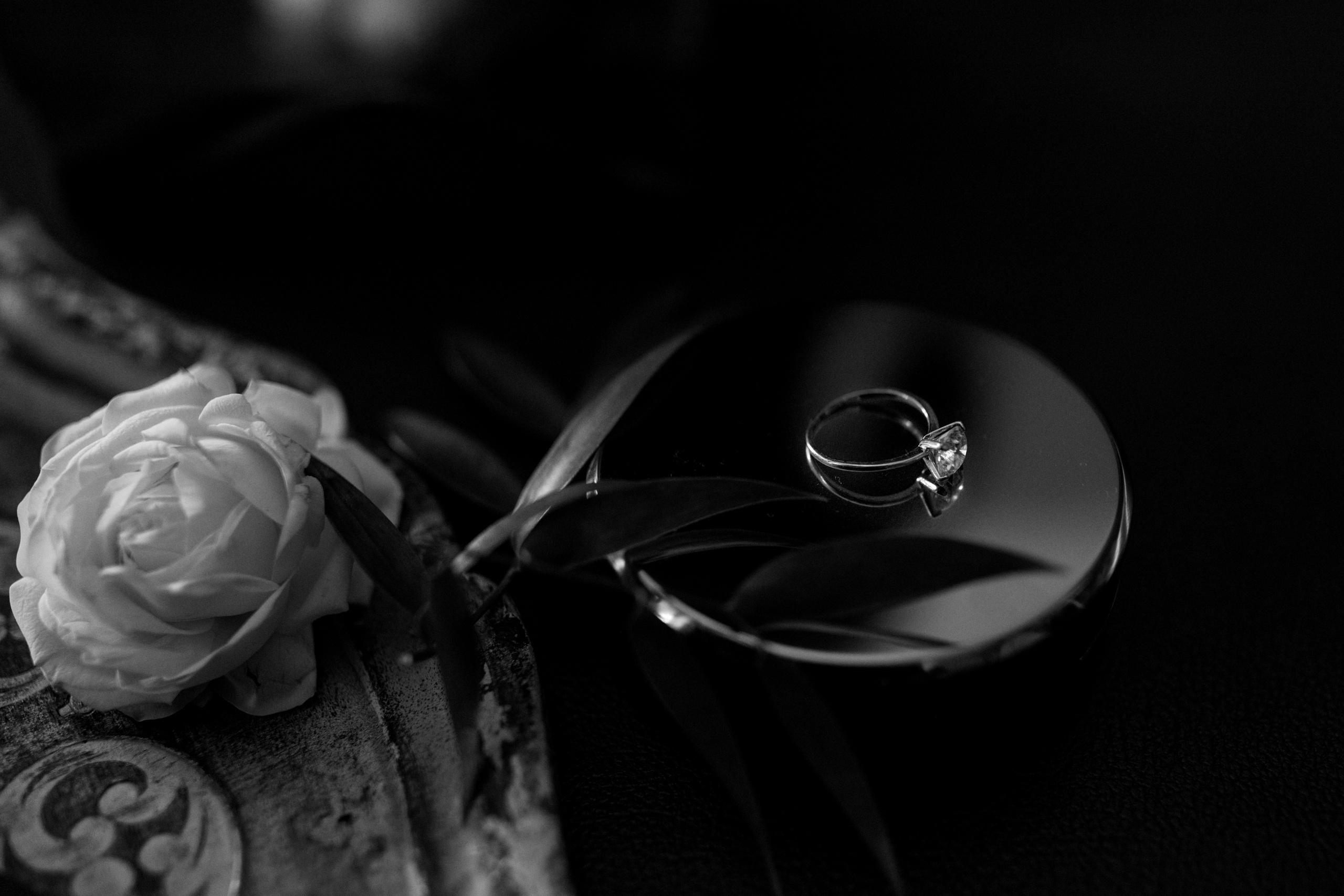 Дима и Катя. Свадебный и портретный фотограф в Запорожье Украина Elena Marshall