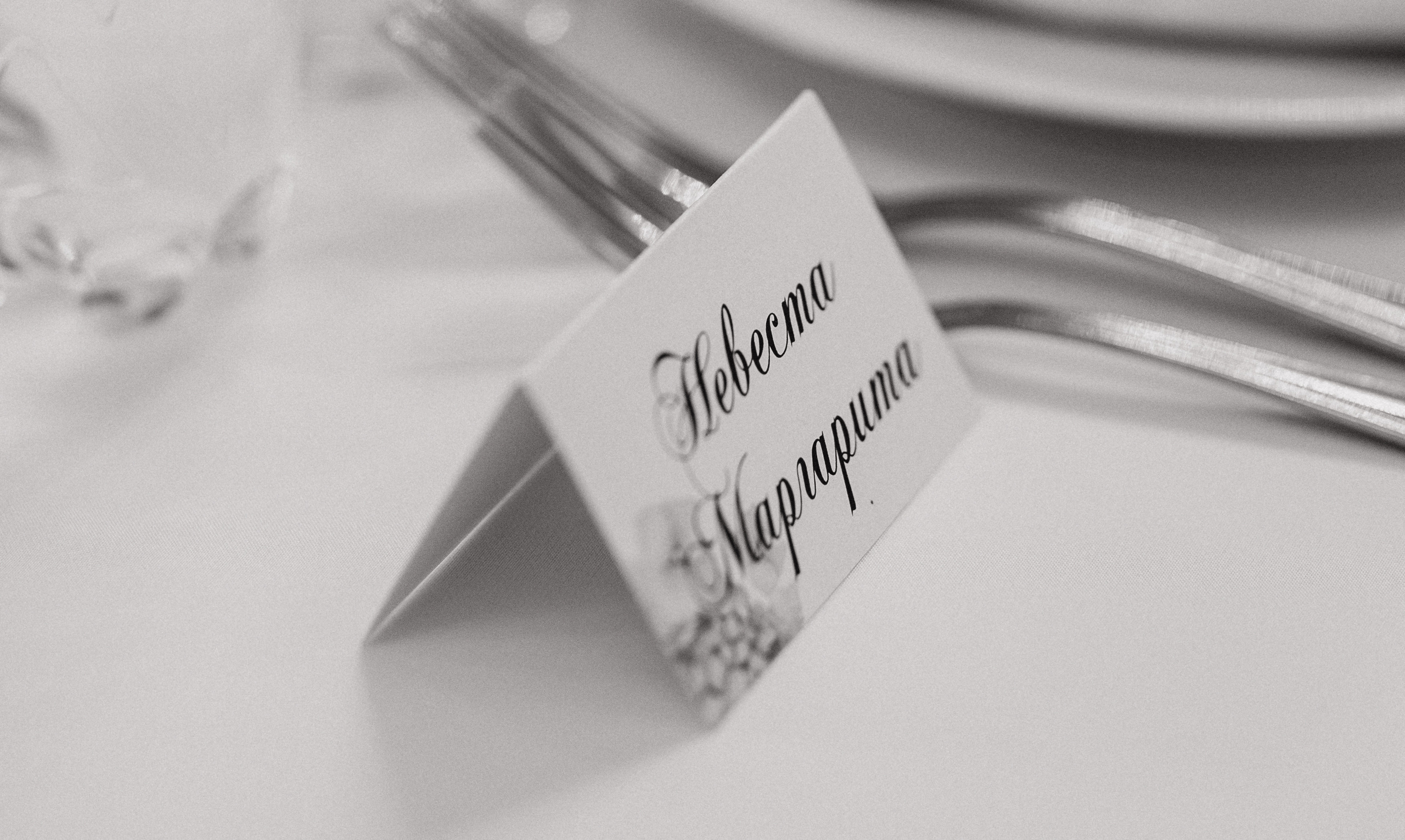 Маргарита и Василий. Свадебный и портретный фотограф в Запорожье Украина Elena Marshall