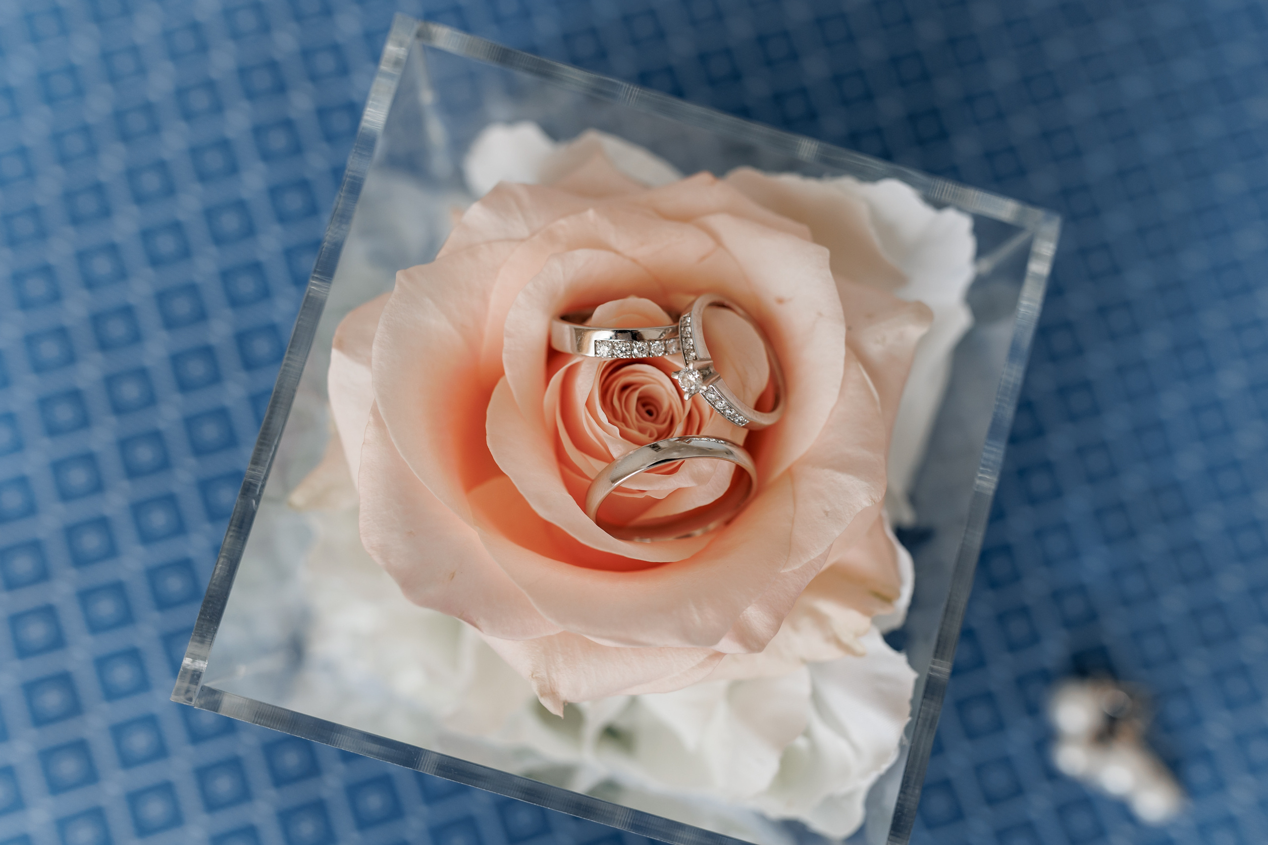 Маргарита и Василий. Свадебный и портретный фотограф в Запорожье Украина Elena Marshall