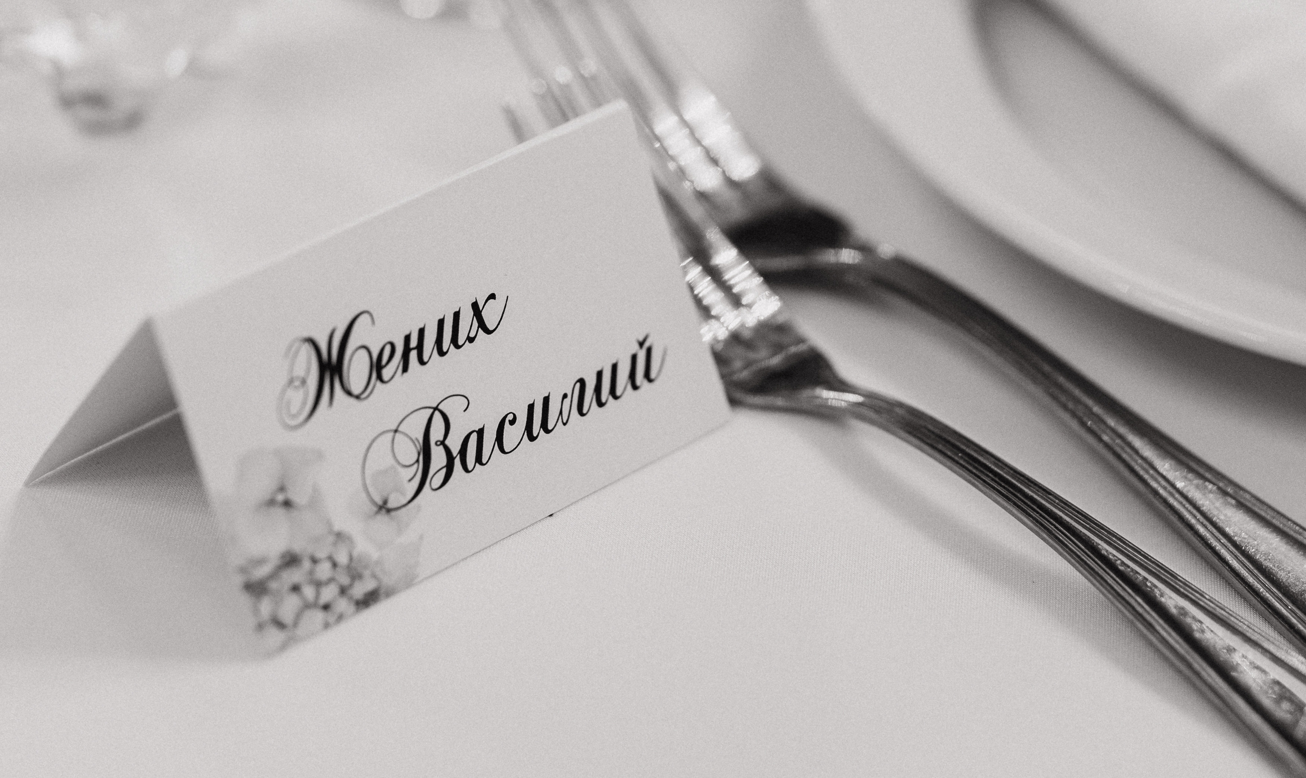 Маргарита и Василий. Свадебный и портретный фотограф в Запорожье Украина Elena Marshall