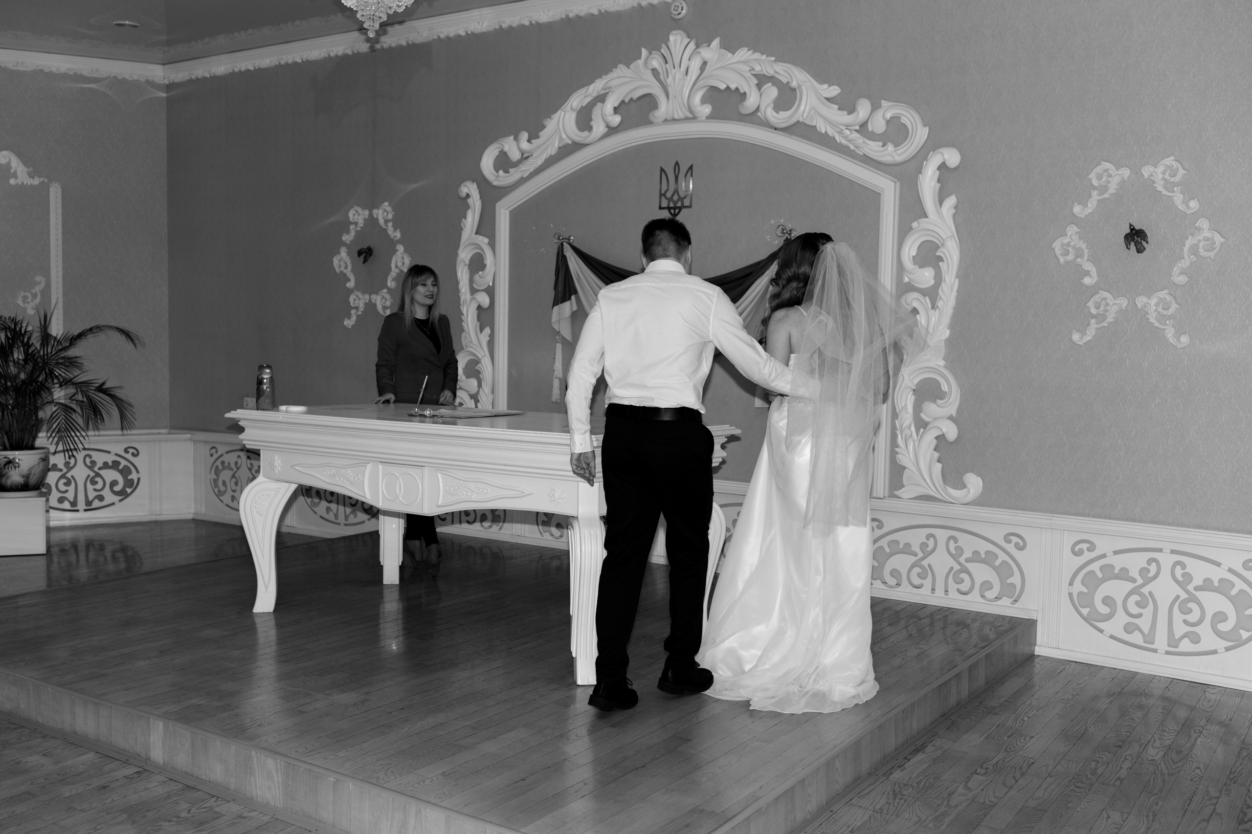 Яна и Богдан. Свадебный и портретный фотограф в Запорожье Украина Elena Marshall