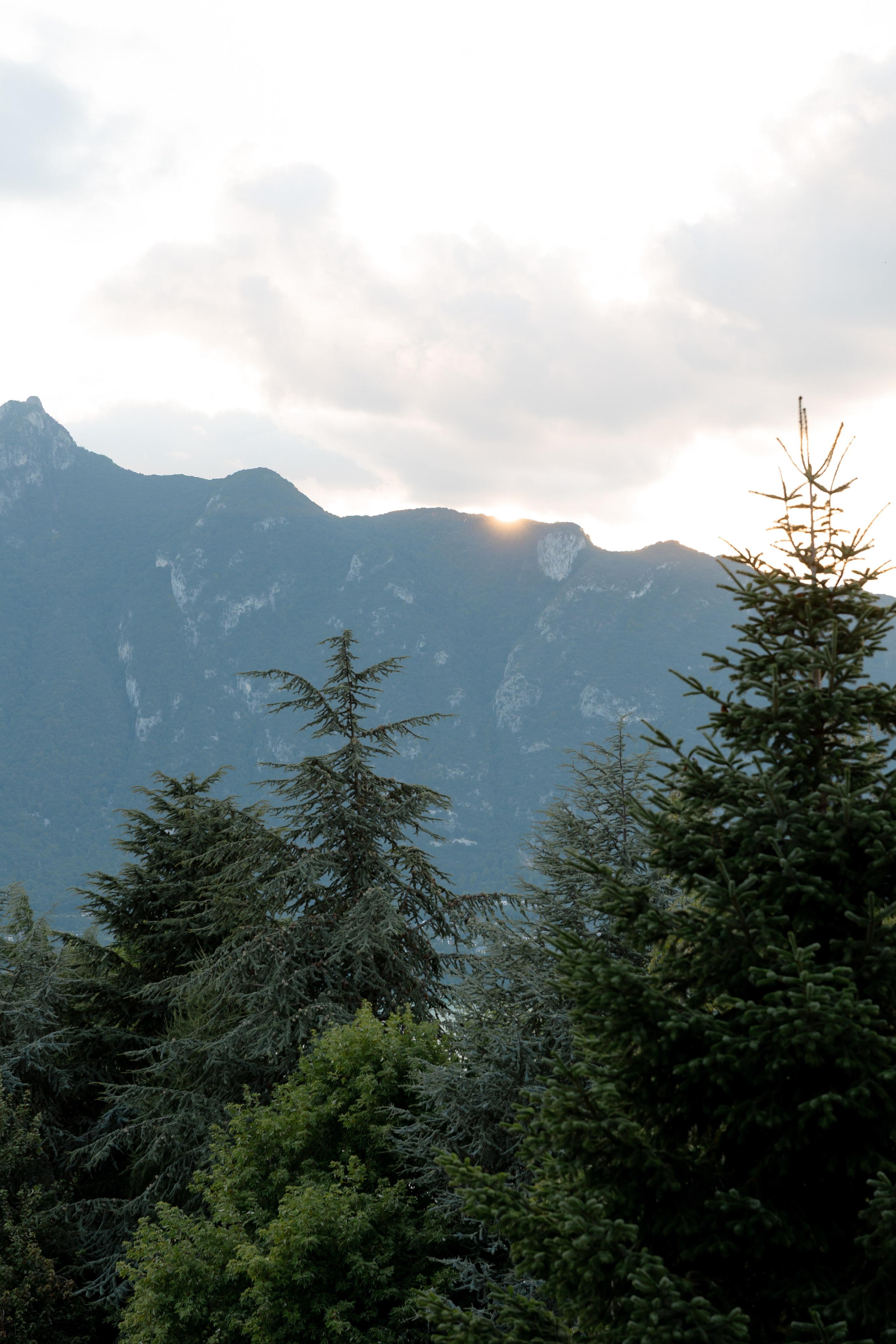 Wedding Stories | Elegant Editorial Wedding Photography in Europe. Wedding Photographer in Ukraine & Europe | Elena Marshall