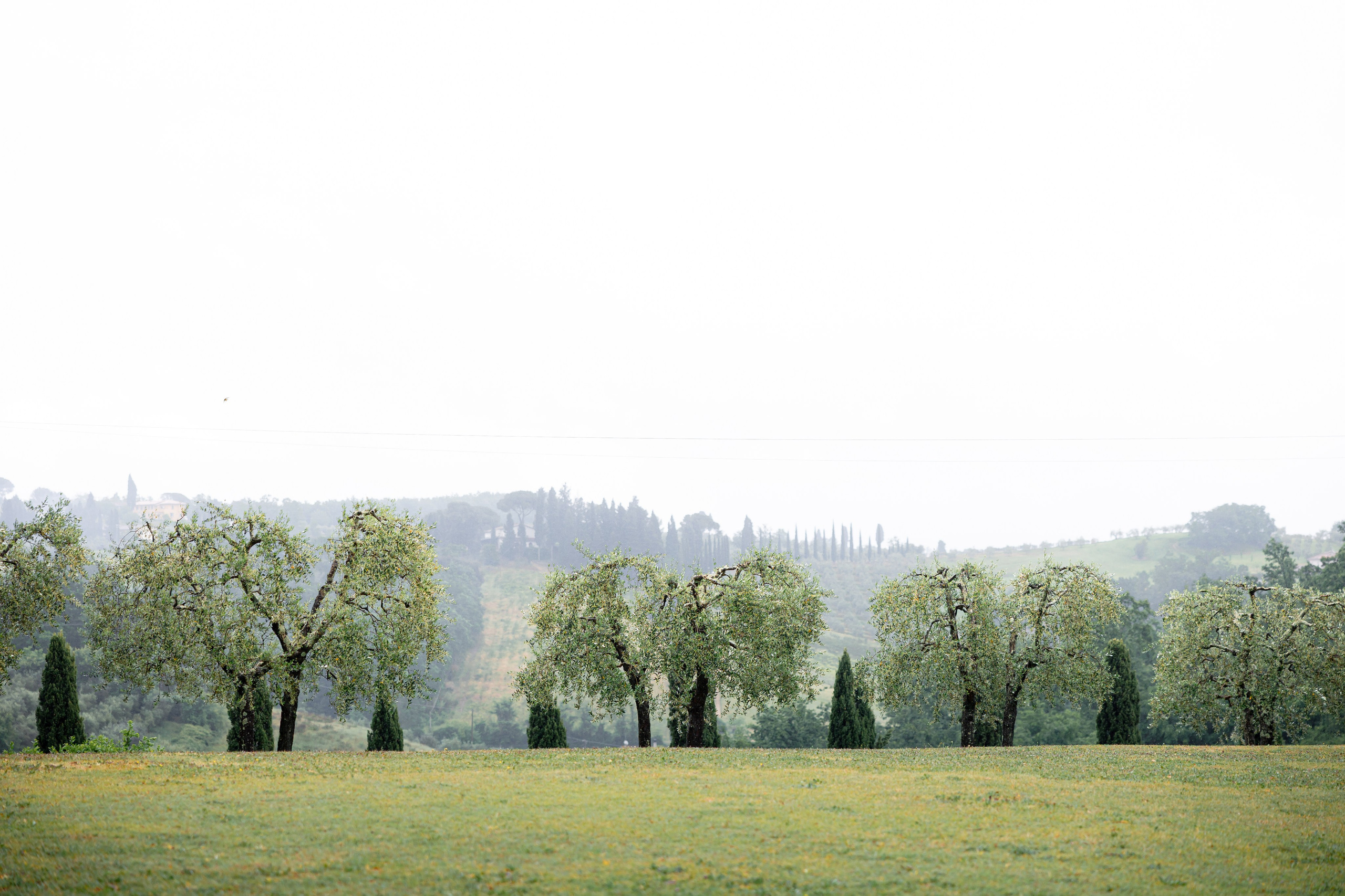 Bride in Tuscany near cypress trees on a cloudy wedding day. Elegant Italian wedding atmosphere photographed by Elena Marshall Photo.