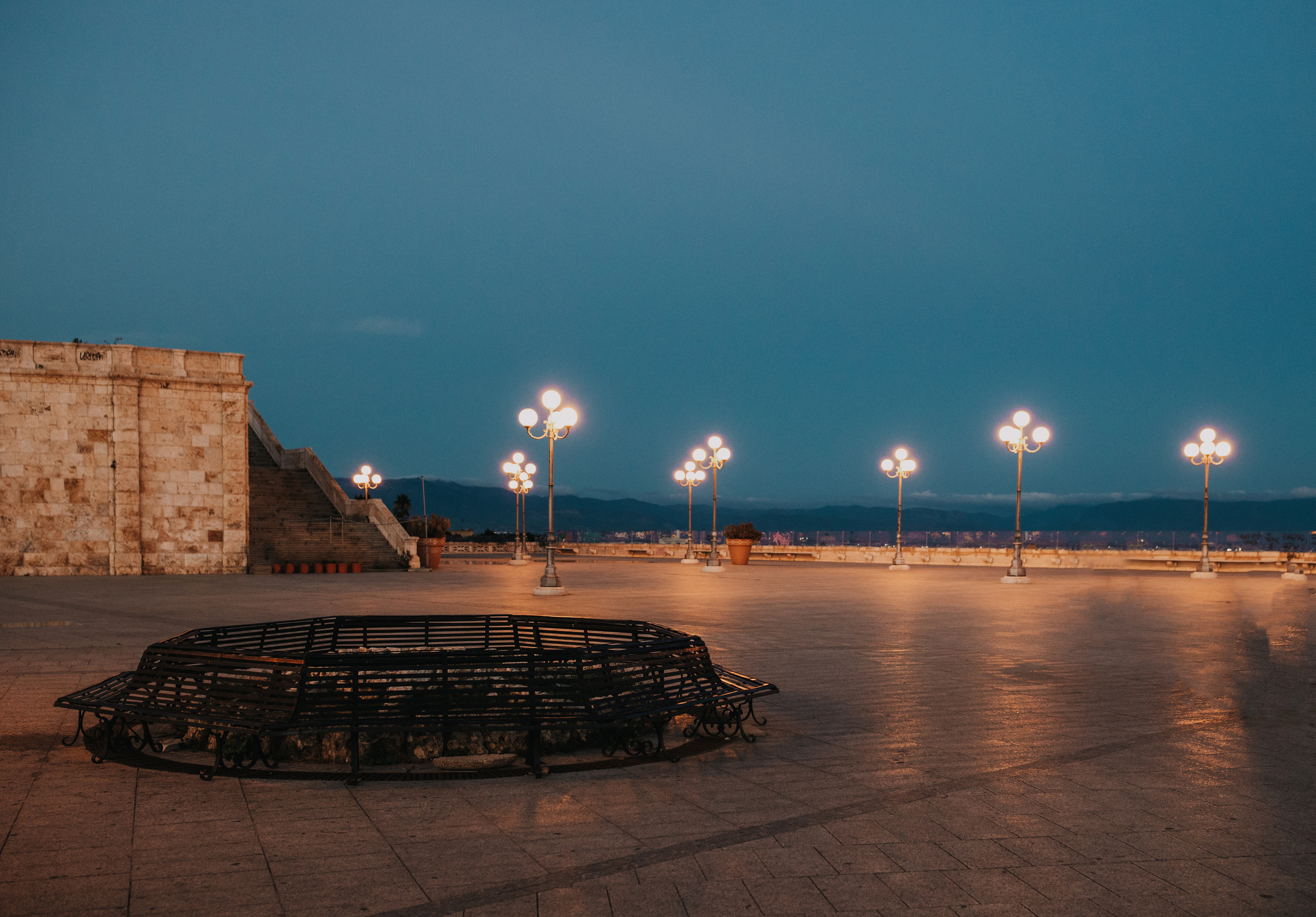 Camille and Basil Cagliari. Свадебный и портретный фотограф в Запорожье Украина Elena Marshall