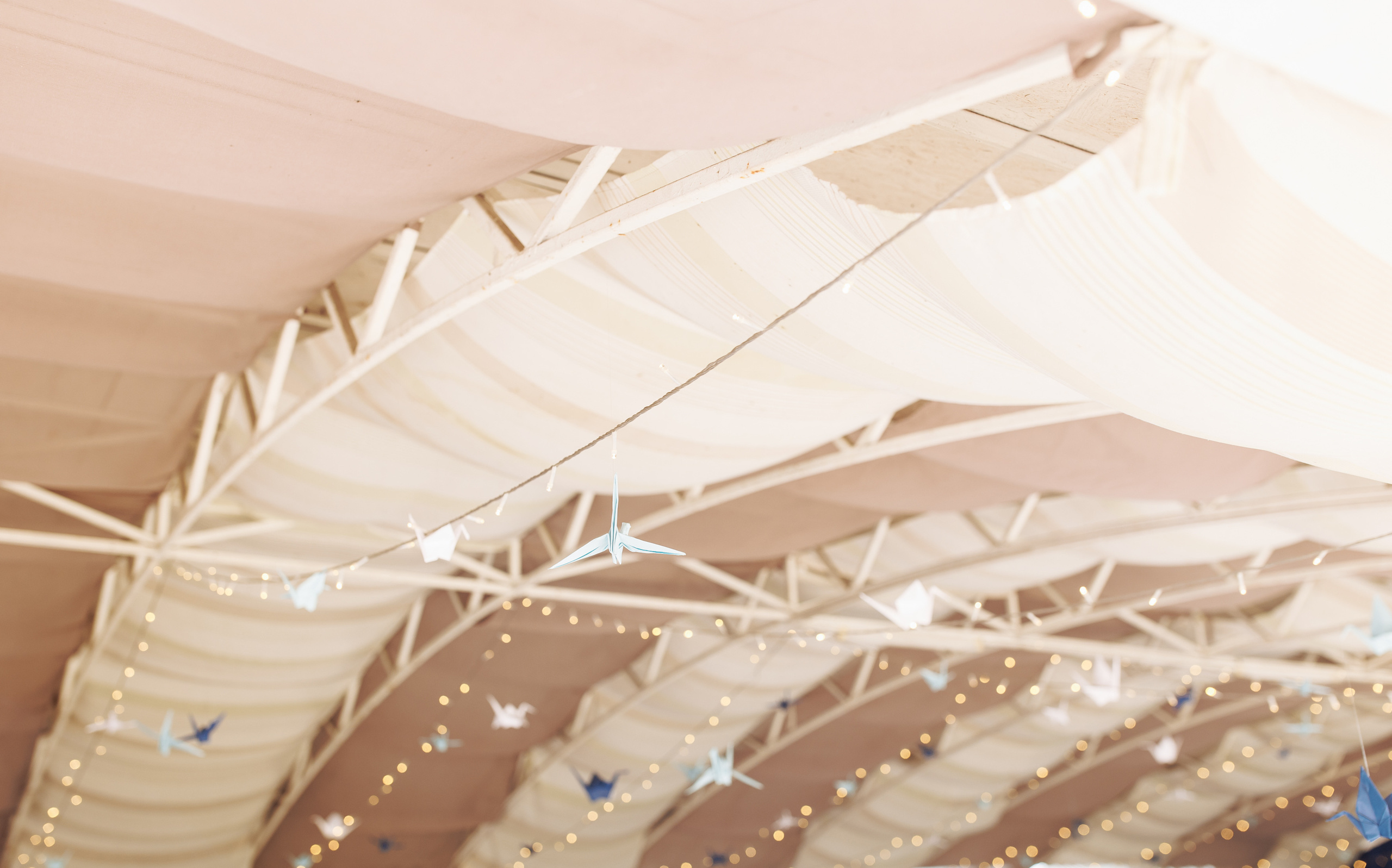 Дарья и Максим (выездная церемония). Свадебный и портретный фотограф в Запорожье Украина Elena Marshall