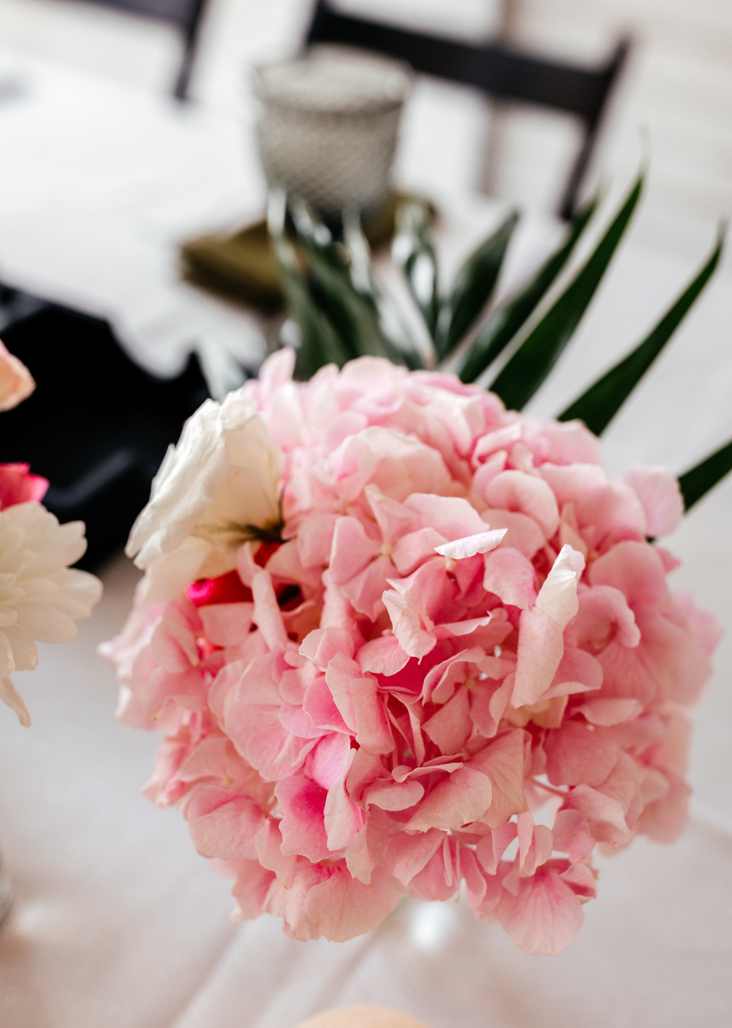 Влад и Виктория. Свадебный и портретный фотограф в Запорожье Украина Elena Marshall