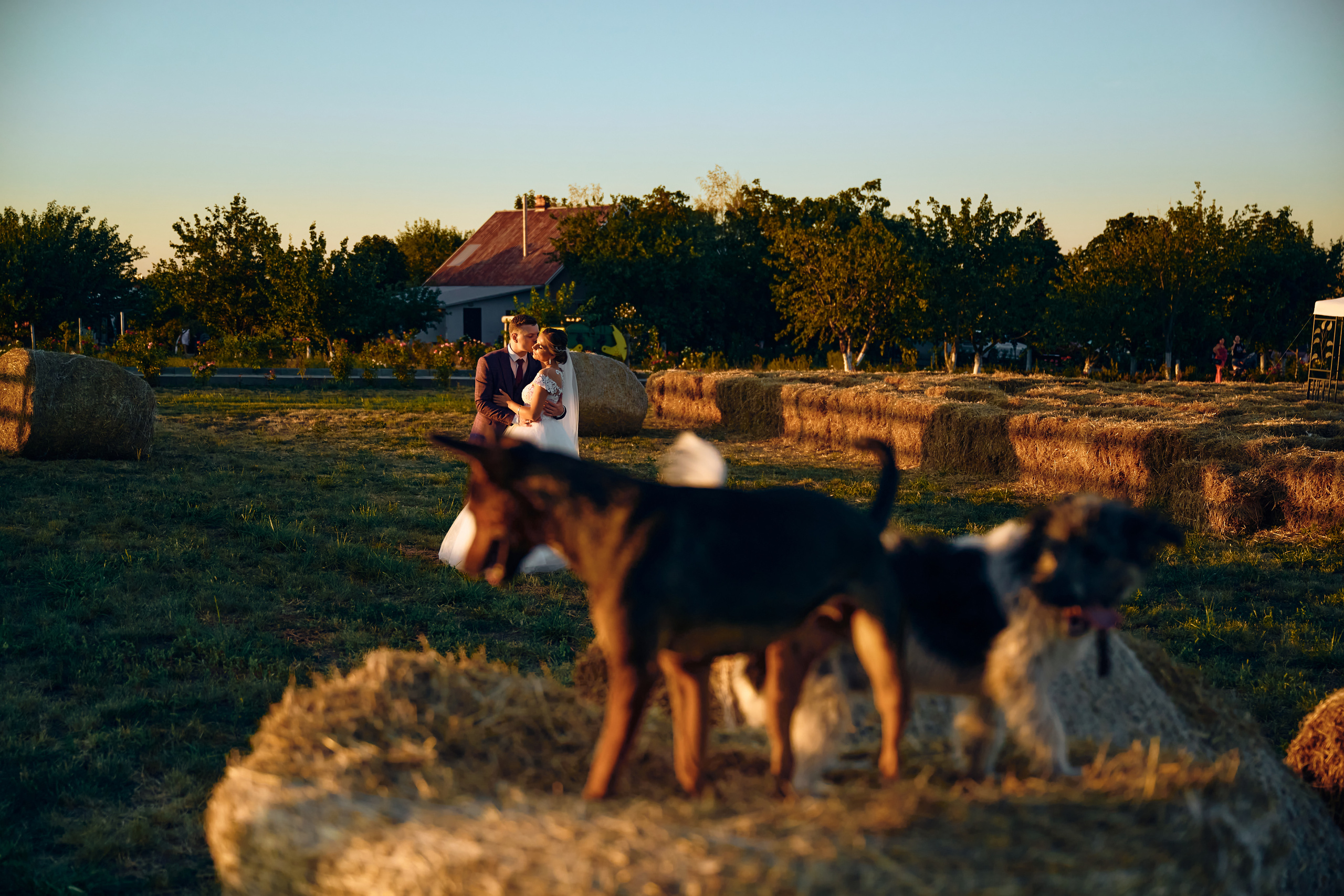 Александр & Александра. Свадебный фотограф в Одессе