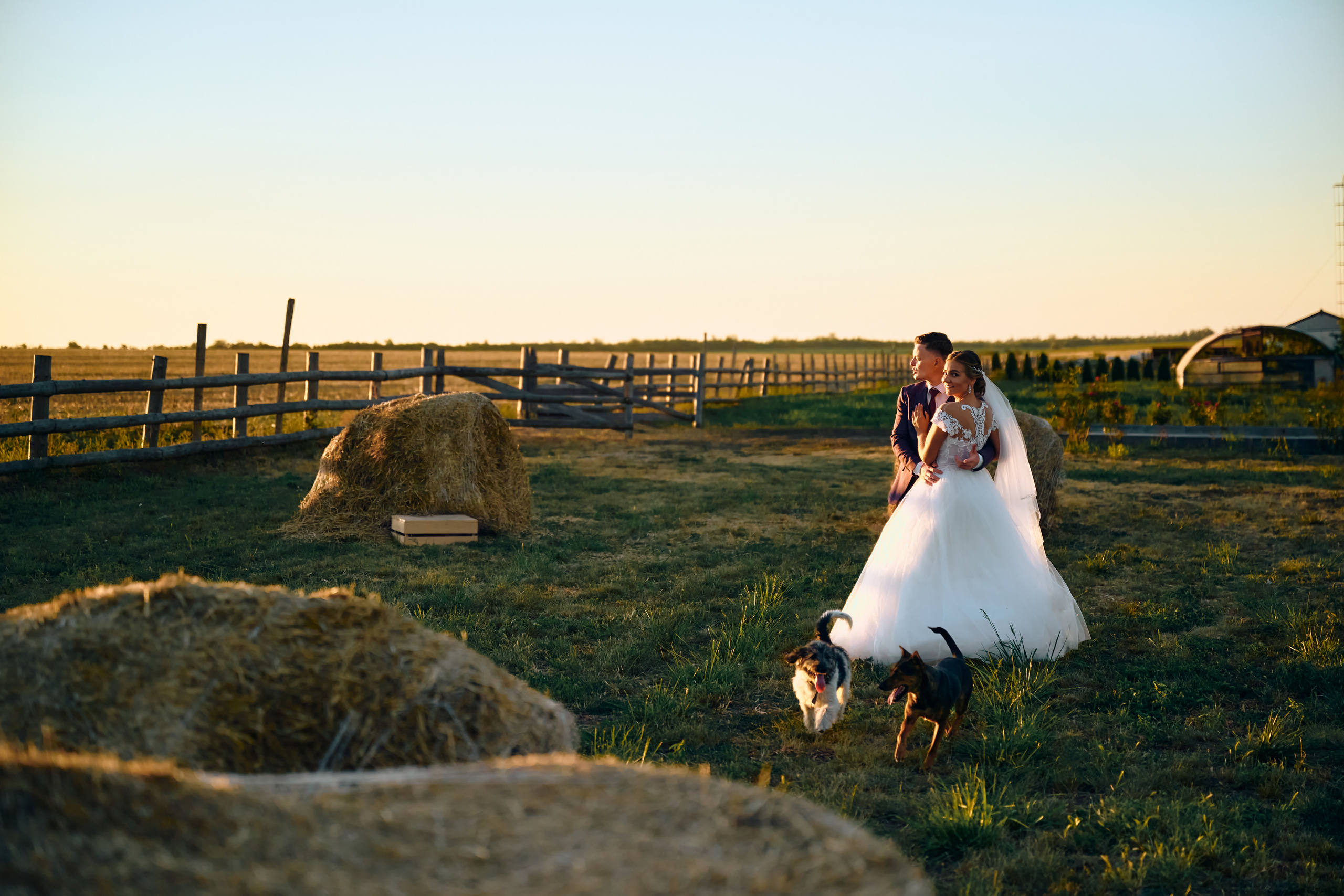 Александр & Александра. Свадебный фотограф в Одессе