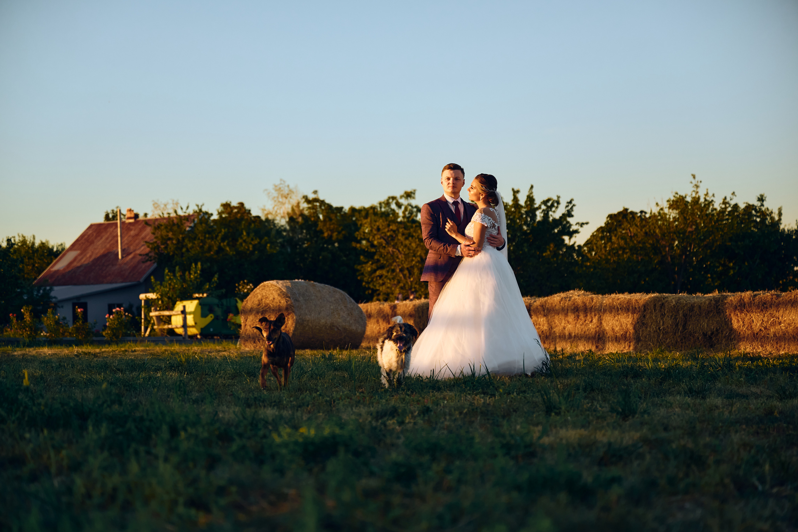 Александр & Александра. Свадебный фотограф в Одессе