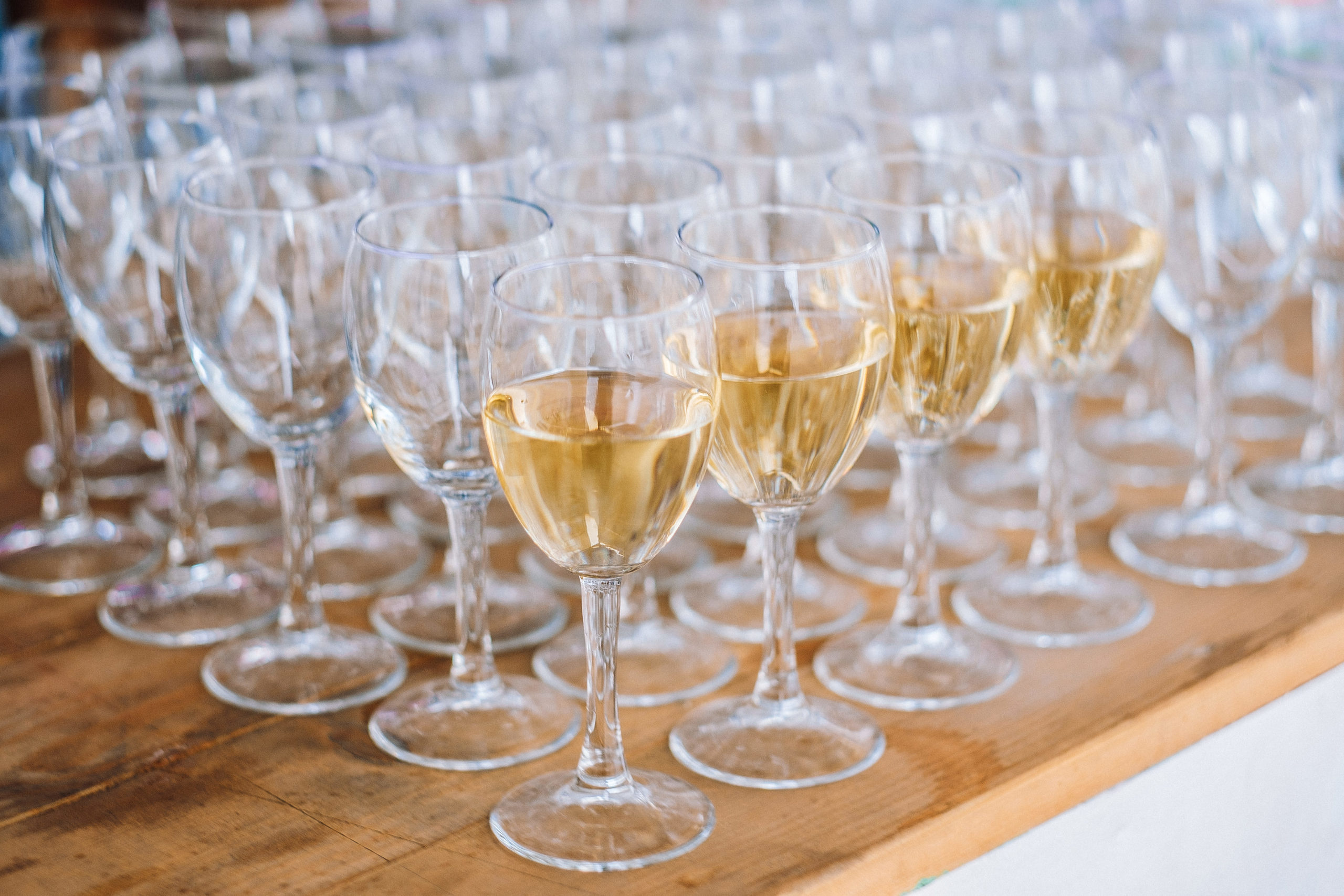 ZEO Alliance 24.10.19 party. Ivan Skufinsky — wedding and family photographer in Vancouver