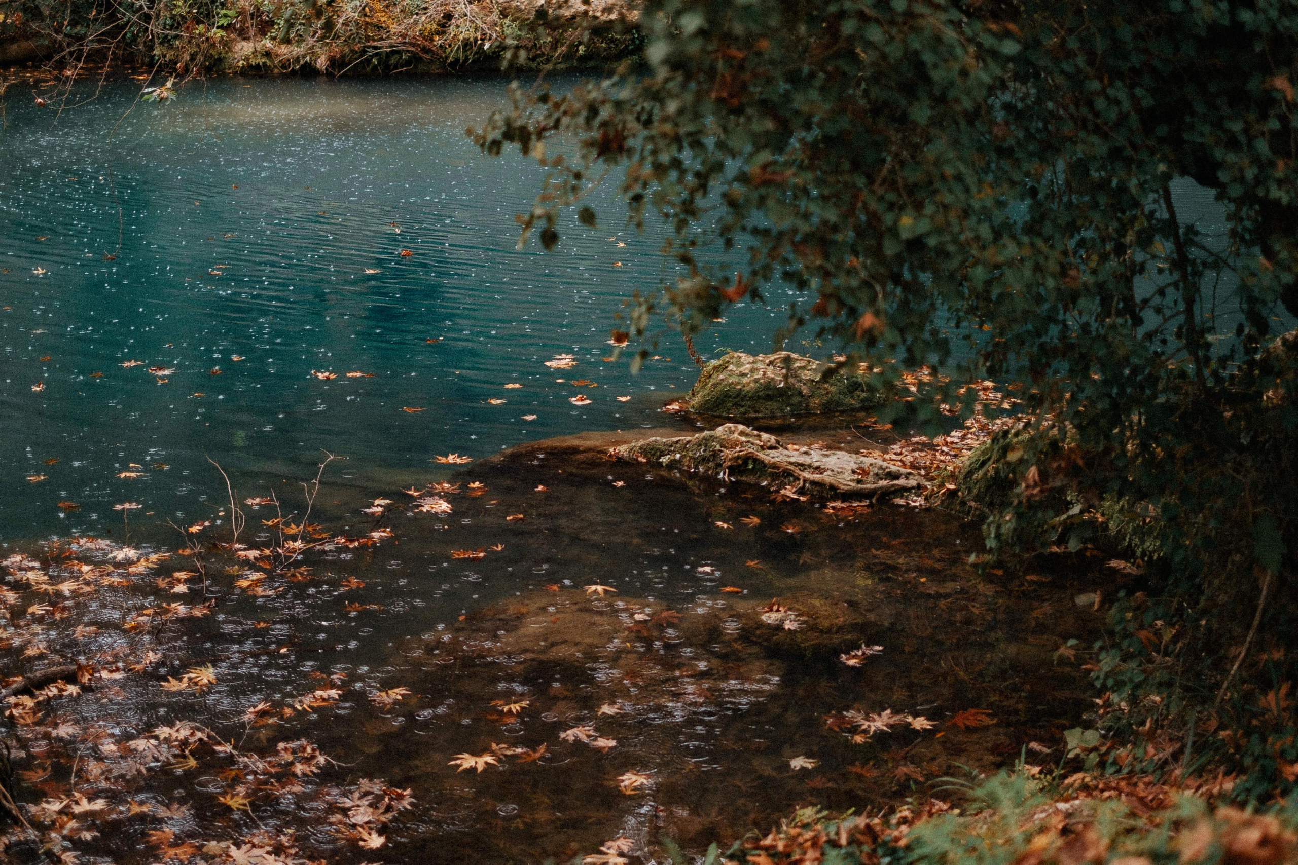 Wedding photographer in Vancouver Весільний фотограф у Ванкувері. Ivan Skufinsky — wedding and family photographer in Vancouver