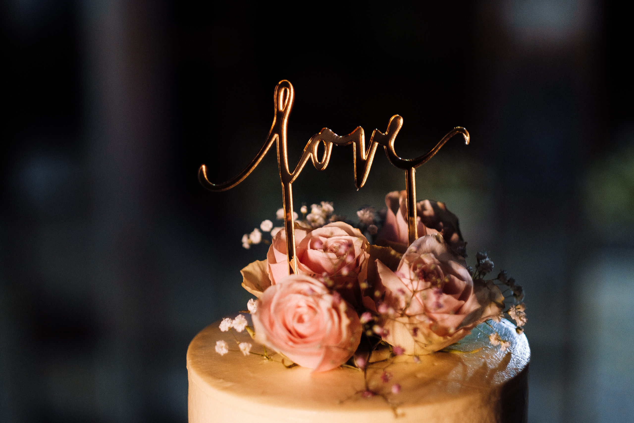 Свадебная история Иван+Ирина. Ivan Skufinsky — wedding and family photographer in Vancouver