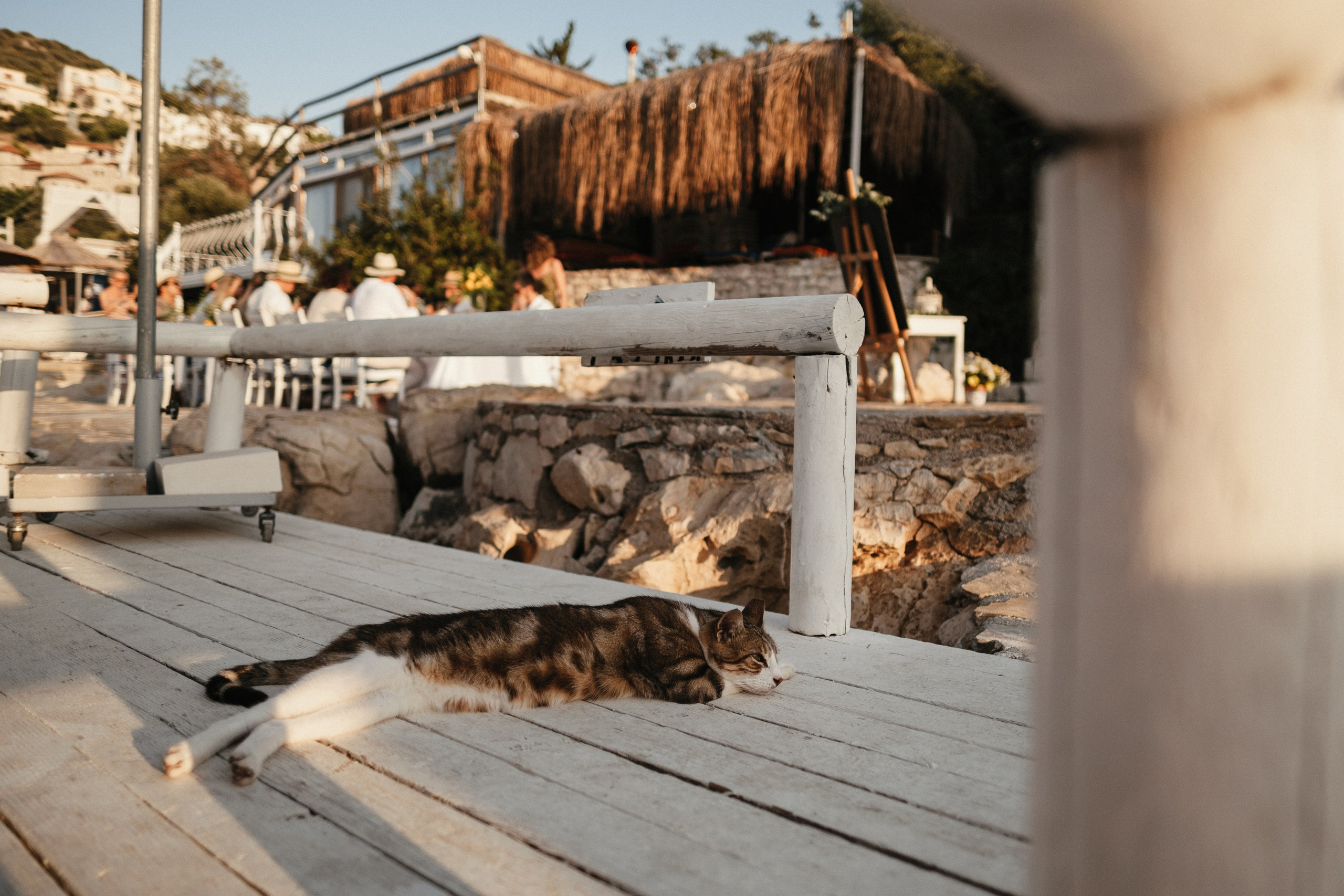 Artem & Mary. Ivan Skufinsky — wedding and family photographer in Vancouver