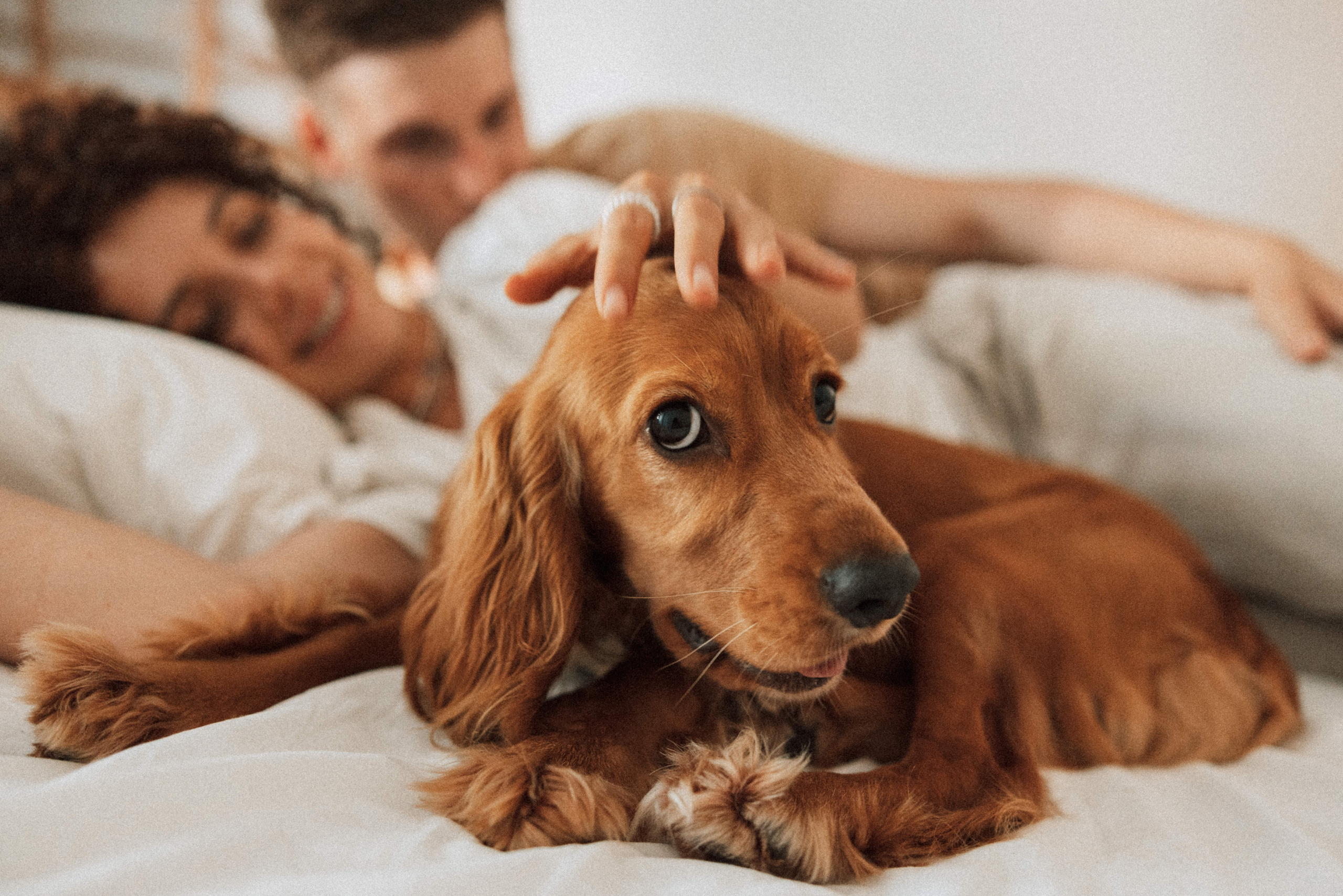 Couples love story photographer photo shoot Vancouver Burnaby Richmond. Ivan Skufinsky — wedding and family photographer in Vancouver