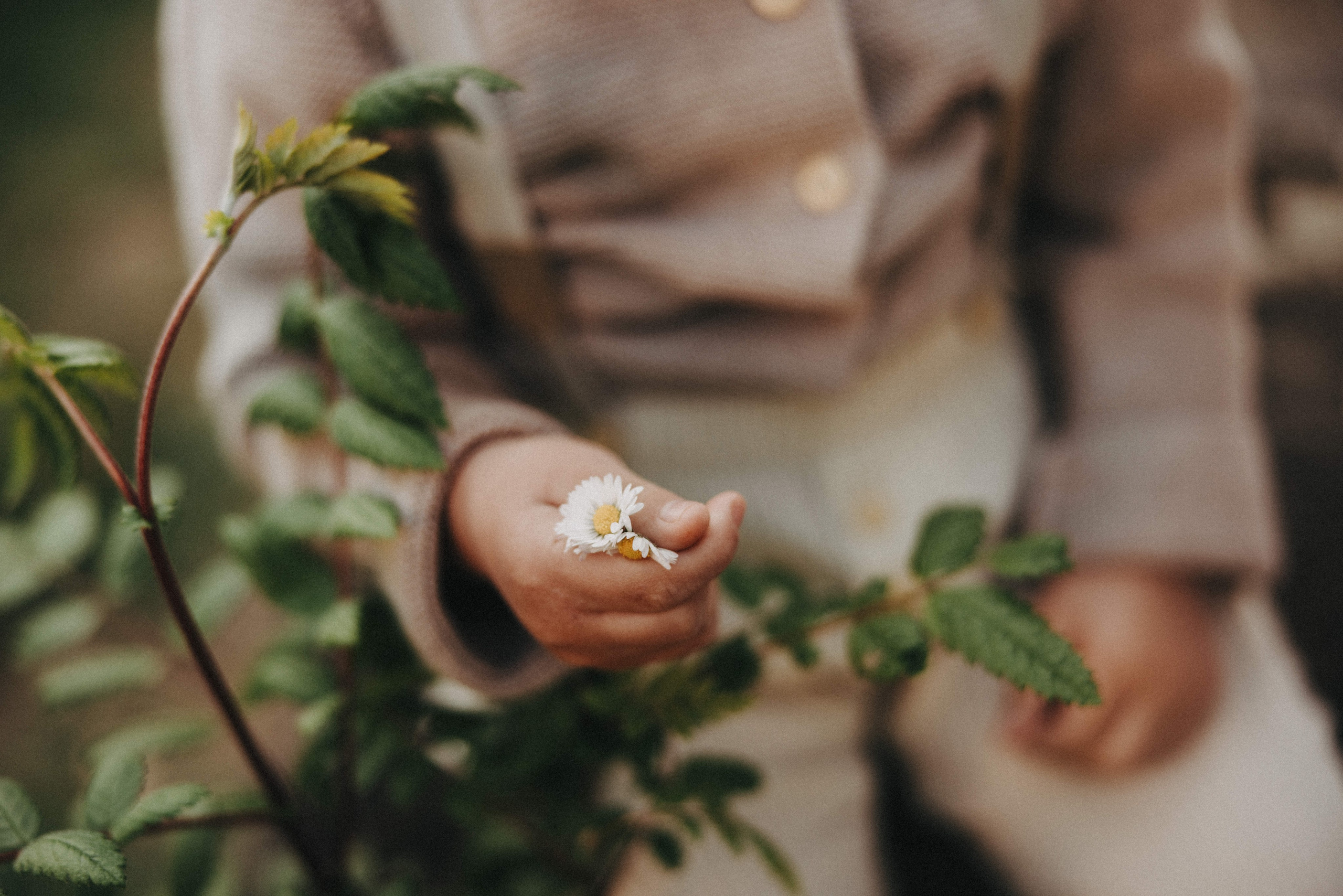 MINI SESSIONS. Ivan Skufinsky — wedding and family photographer in Vancouver