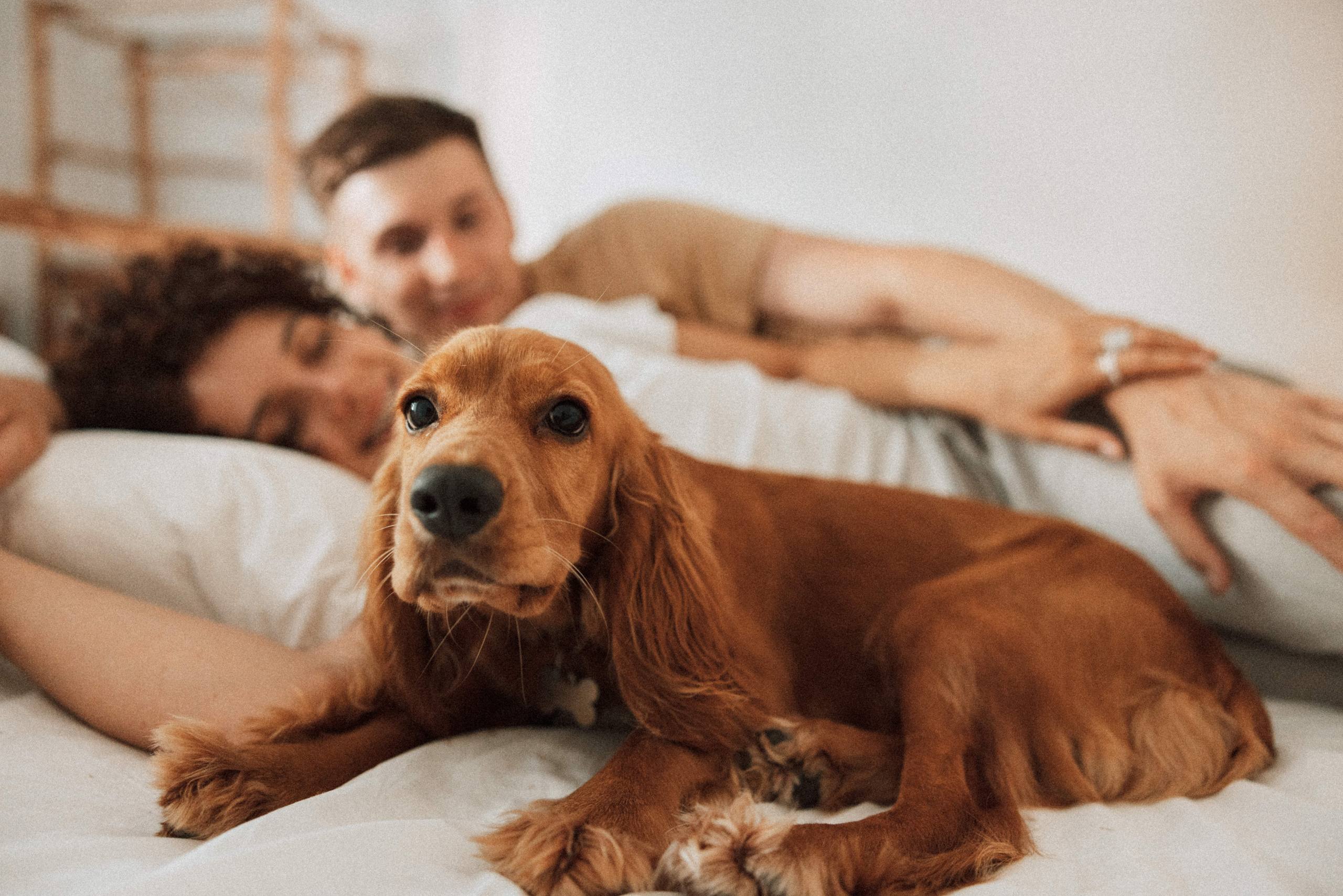 Couples love story photographer photo shoot Vancouver Burnaby Richmond. Ivan Skufinsky — wedding and family photographer in Vancouver