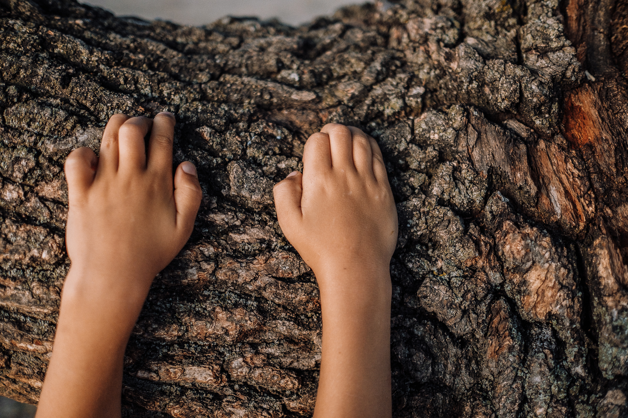 FamilyStory Ira+Kolya+Artem+Yaroslav. Ivan Skufinsky — wedding and family photographer in Vancouver