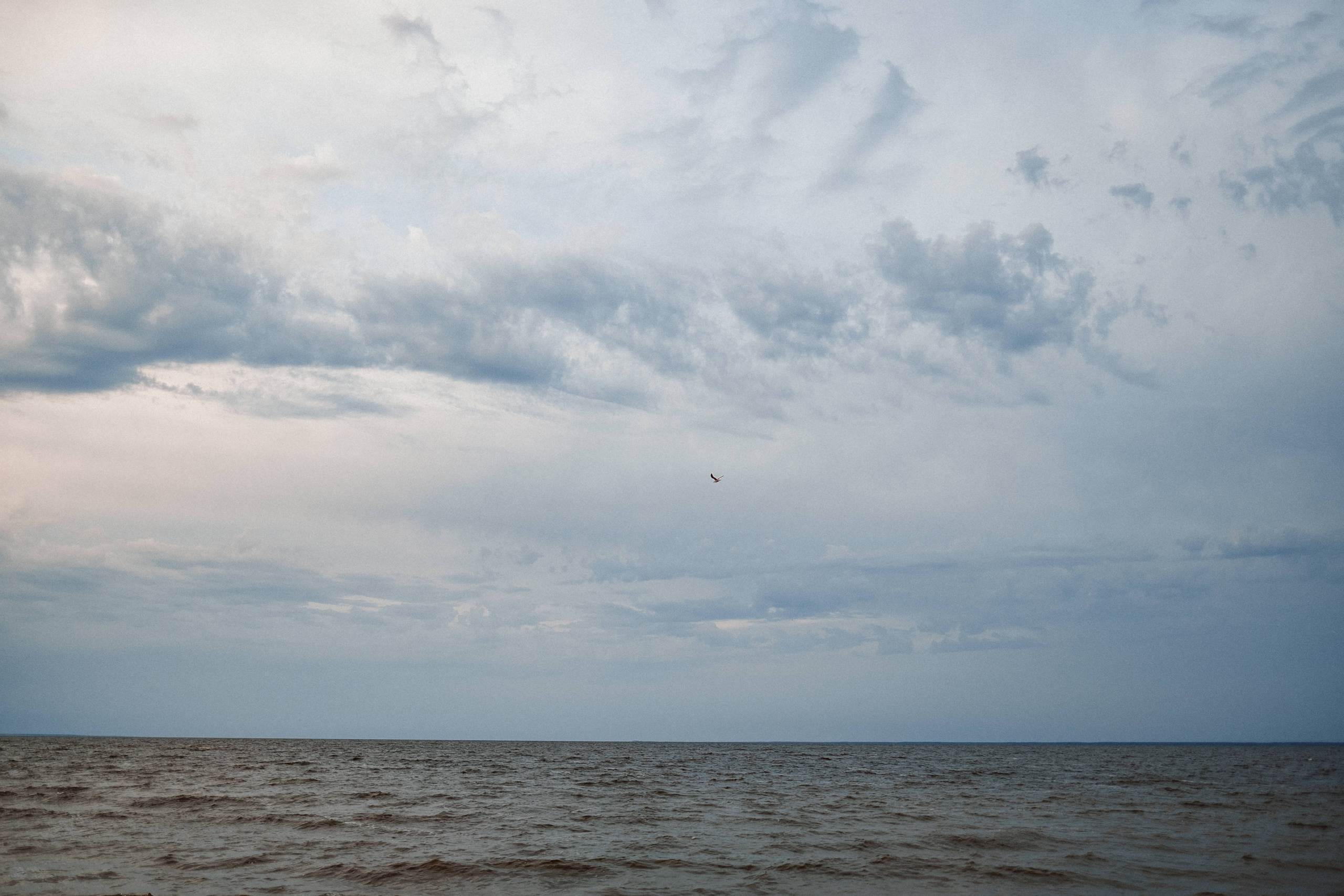 Sincere family photo session. искренняя семейная фотосессия. Ivan Skufinsky — wedding and family photographer in Vancouver