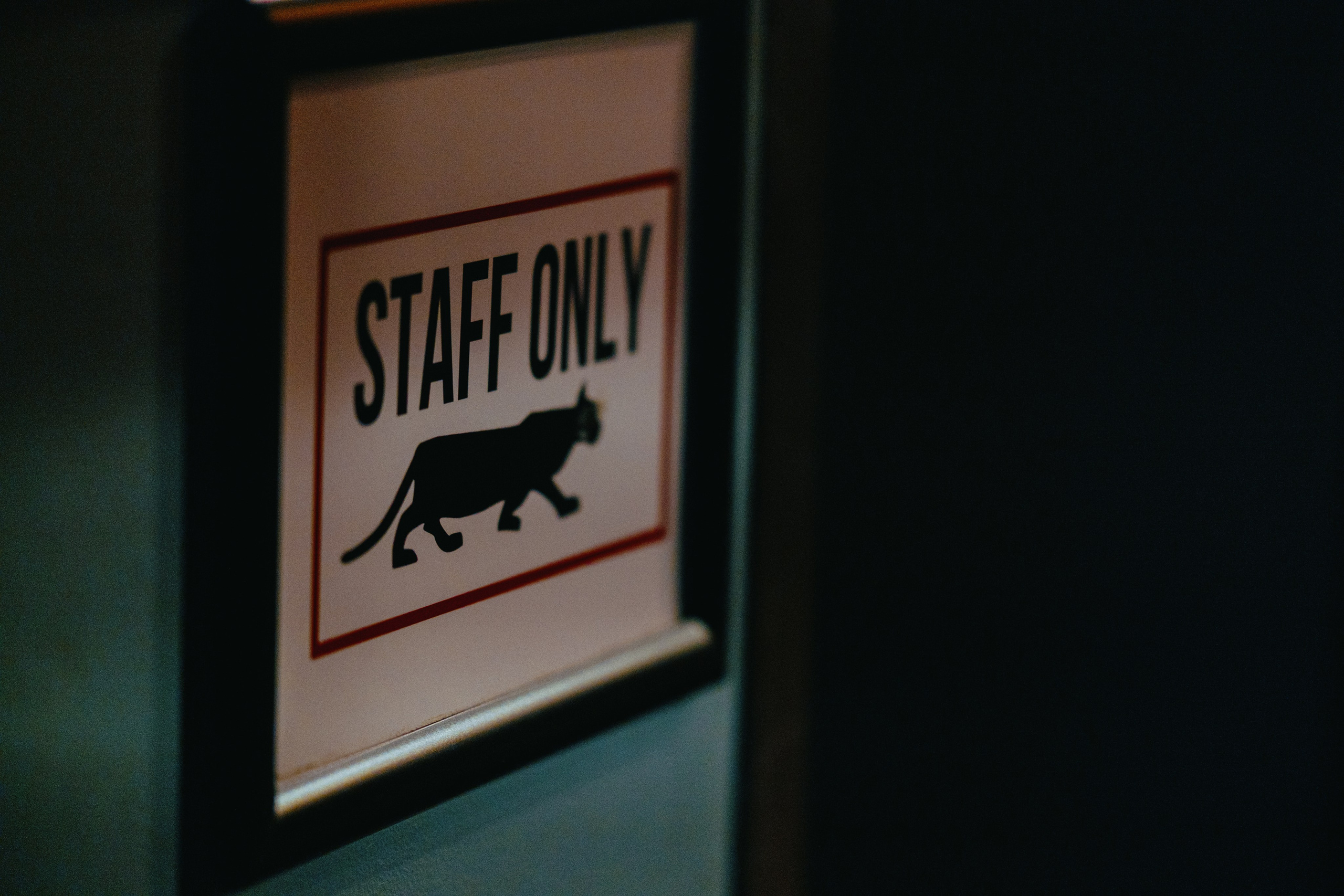 Film Premiere at Rio Theatre, Vancouver — “WAR TAILS”. Ivan Skufinsky — wedding and family photographer in Vancouver