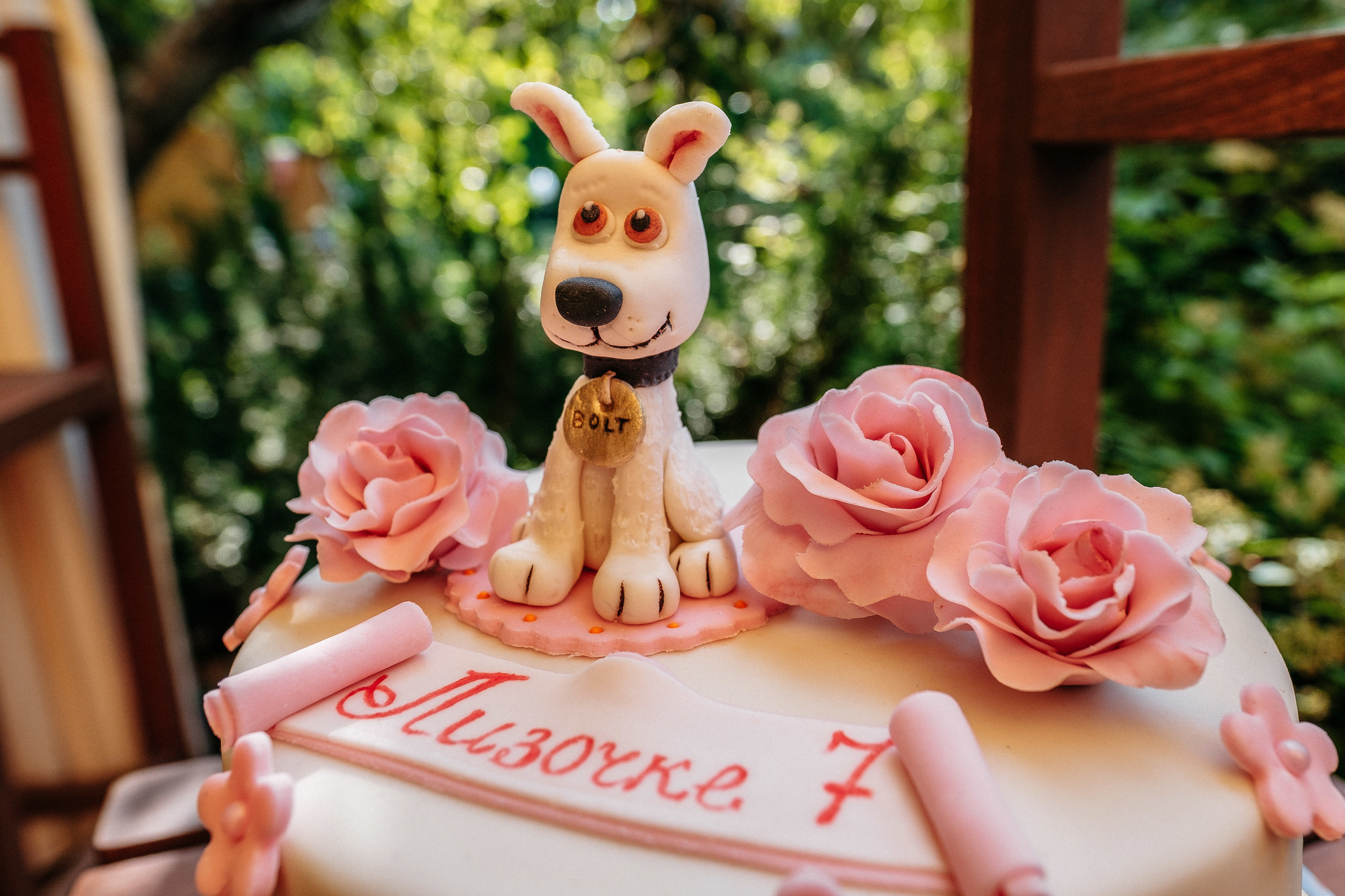 День Рождения Лизочка (2018). Ivan Skufinsky — wedding and family photographer in Vancouver