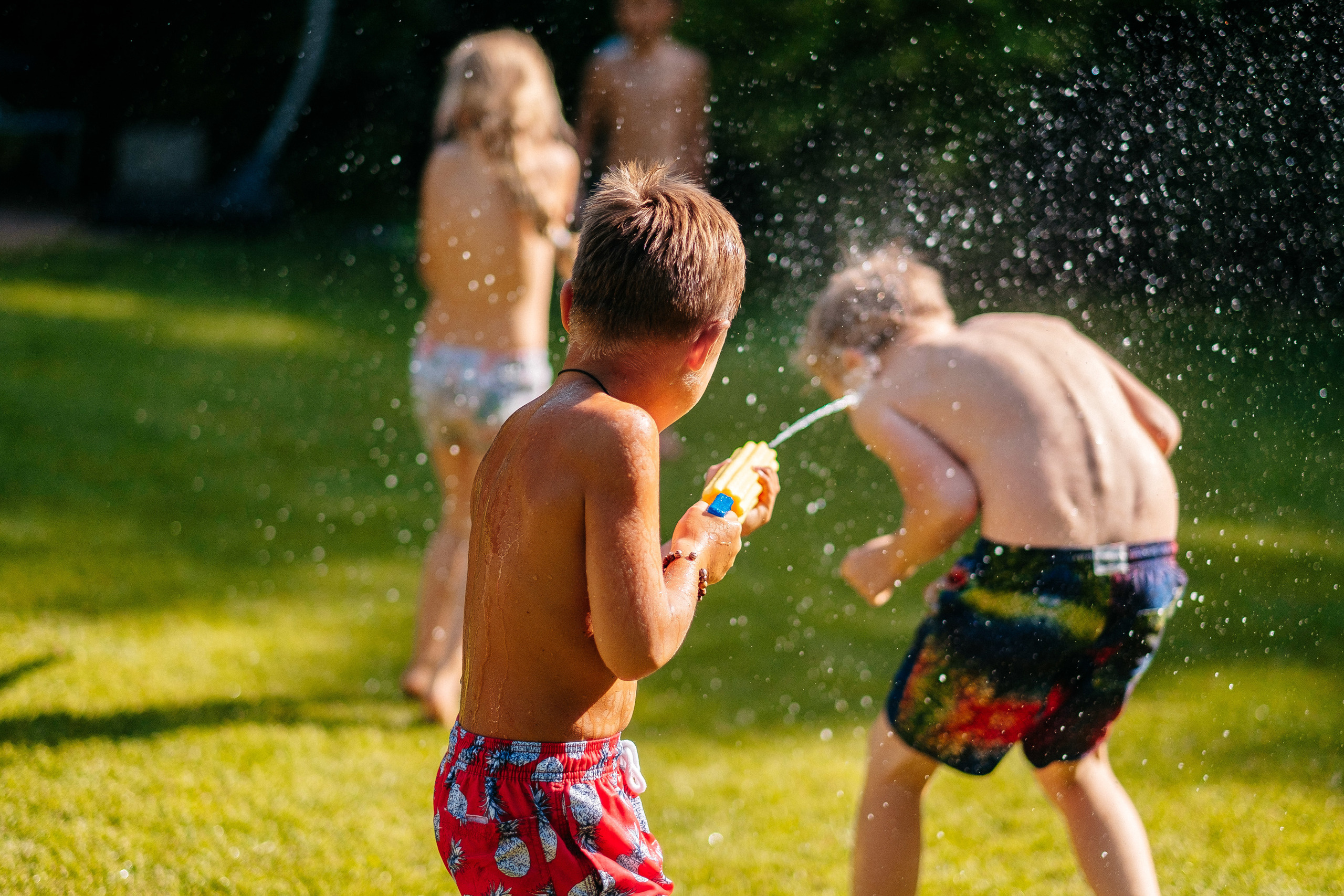 День Рождения Лизочка (2018). Ivan Skufinsky — wedding and family photographer in Vancouver