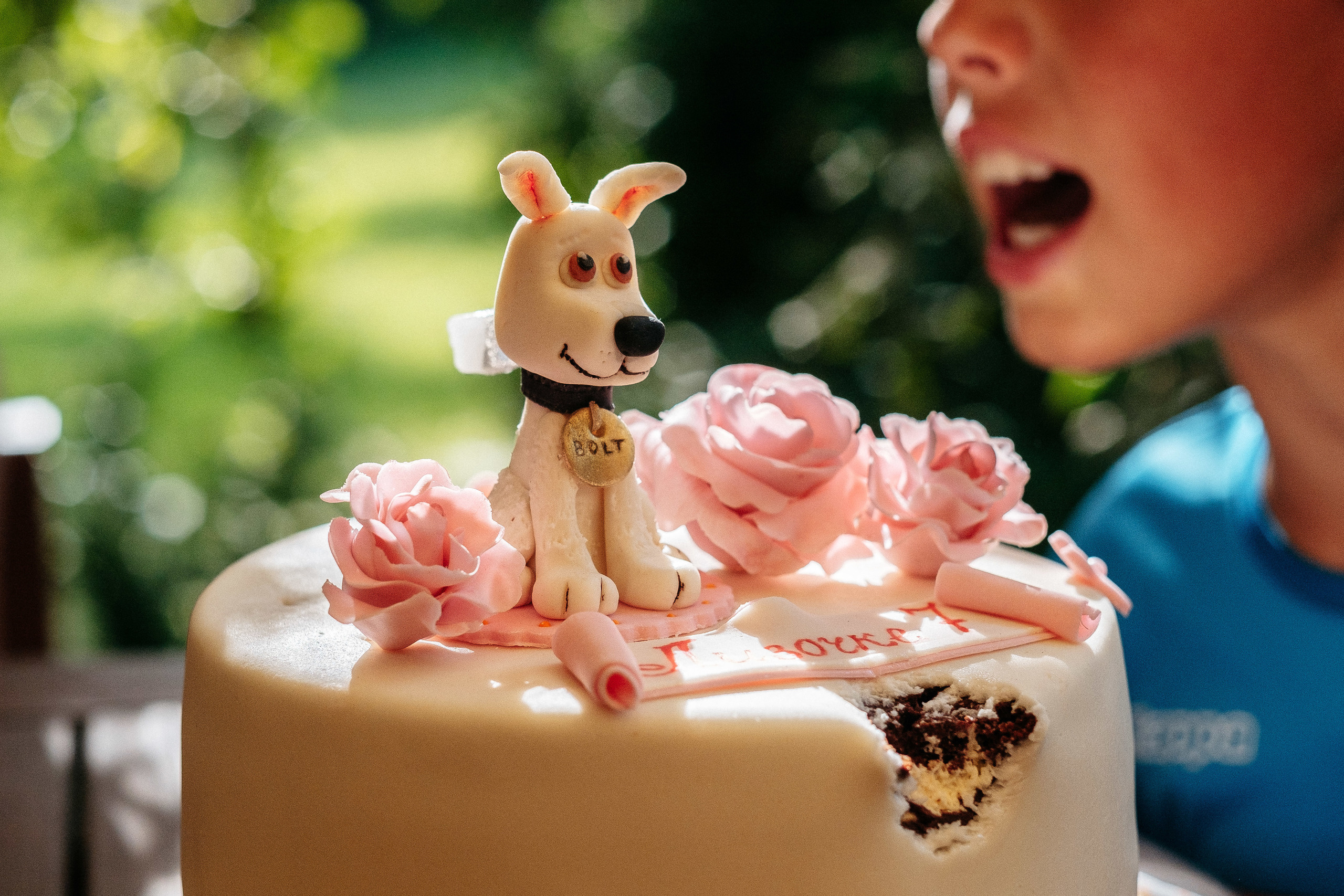 День Рождения Лизочка 7 лет. Ivan Skufinsky — wedding and family photographer in Vancouver