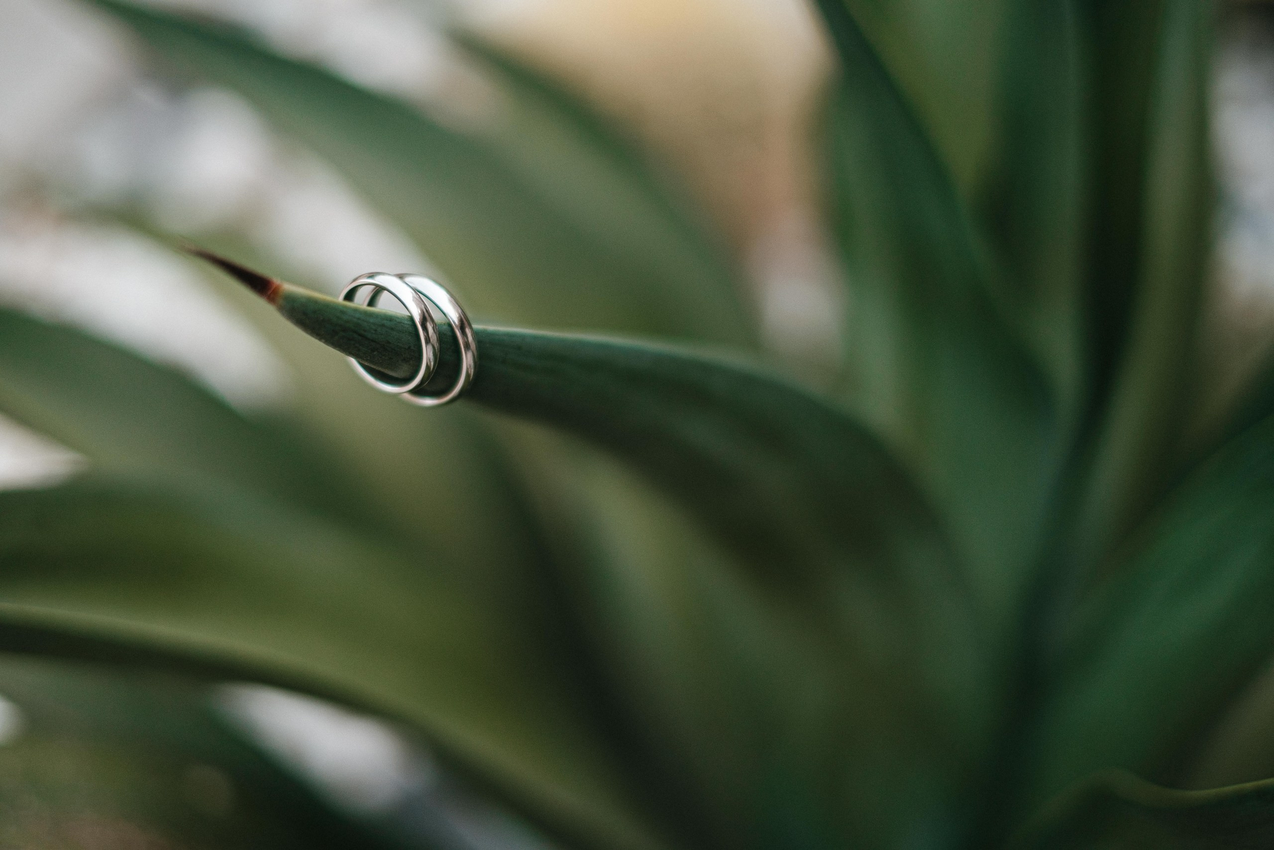 Cheshme. Wedding Story. Ivan Skufinsky — wedding and family photographer in Vancouver