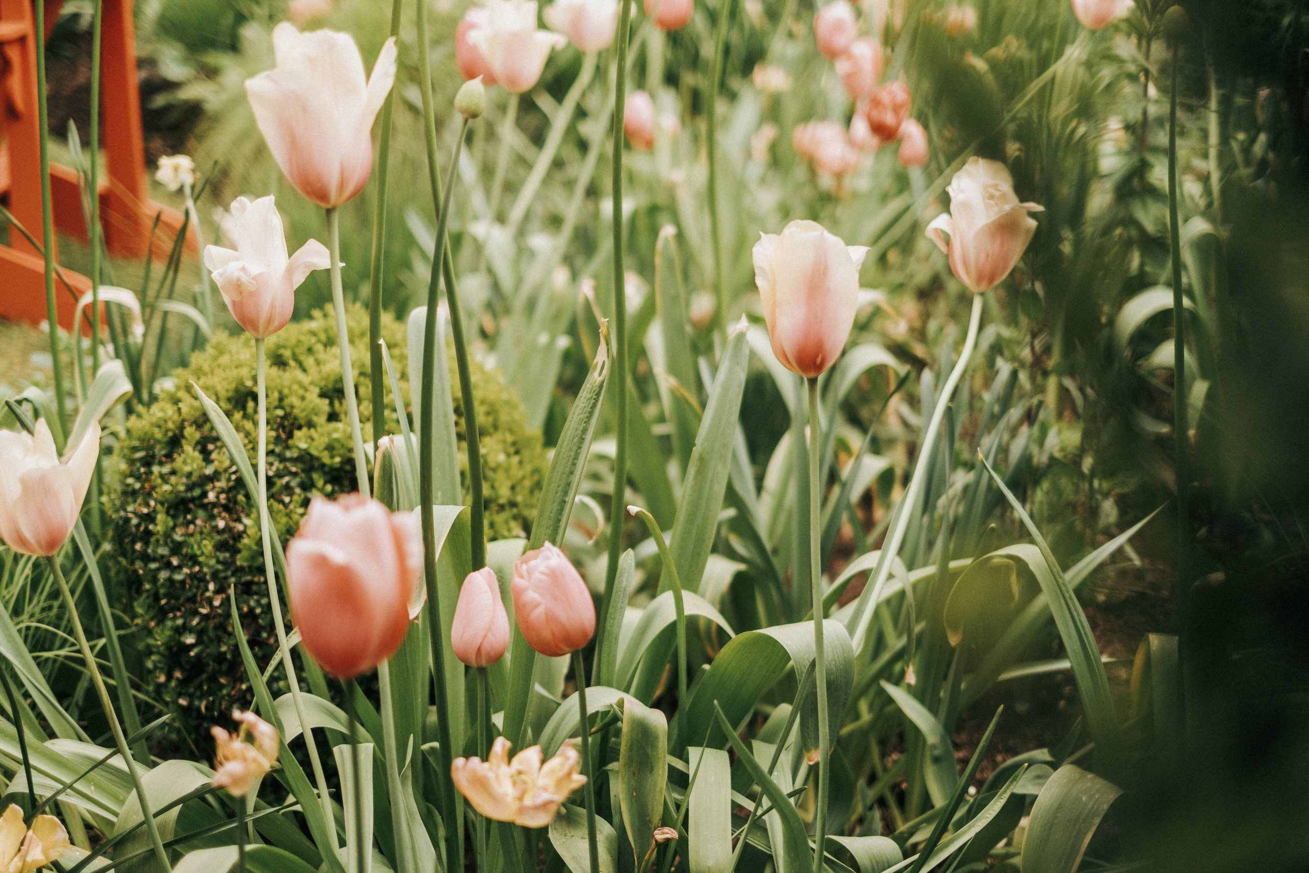 Cade & Susanne — The Teahouse in Stanley Park | Photography by Ivan Skufinsky. Ivan Skufinsky — wedding and family photographer in Vancouver