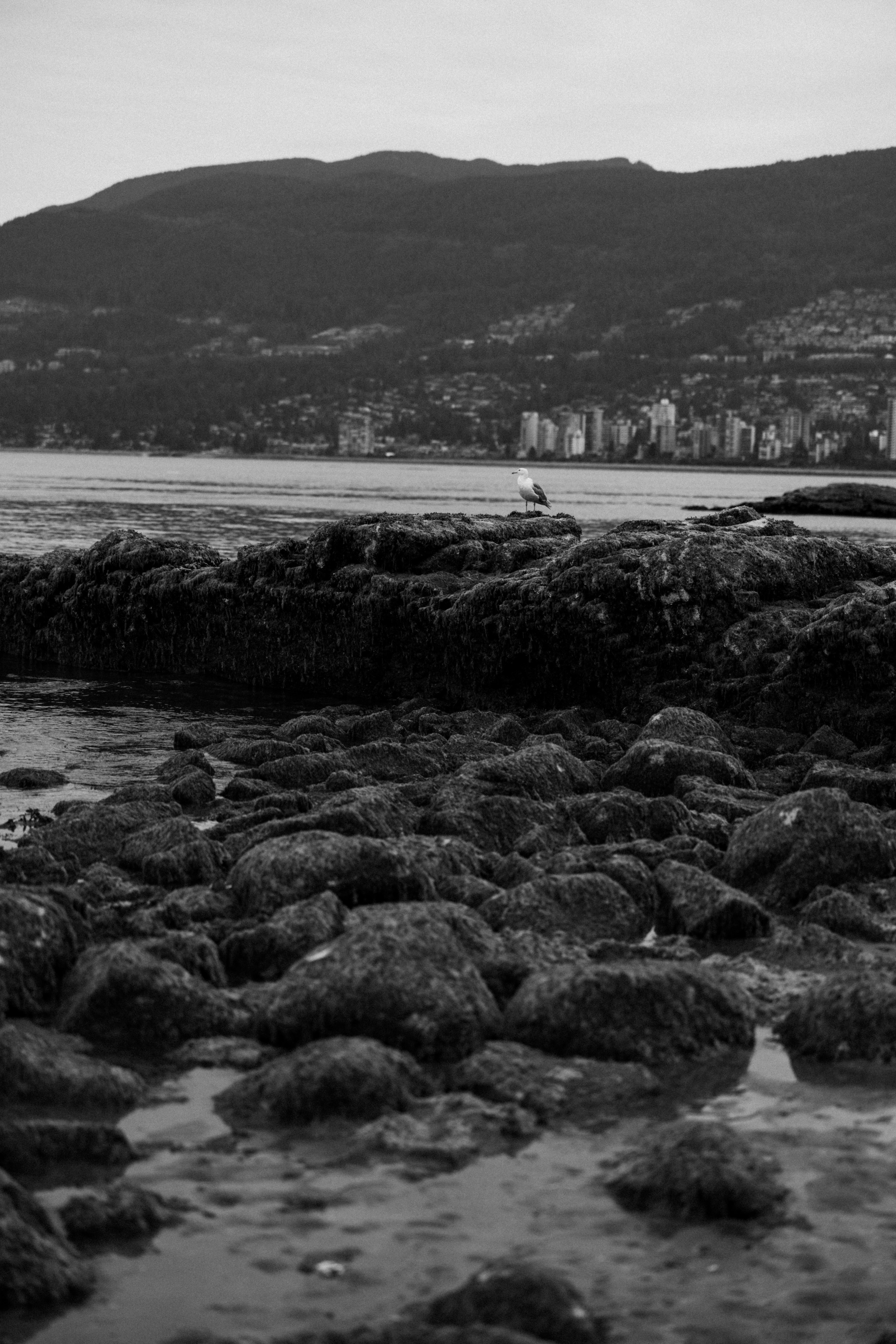 Vancouver love story. Ivan Skufinsky — wedding and family photographer in Vancouver