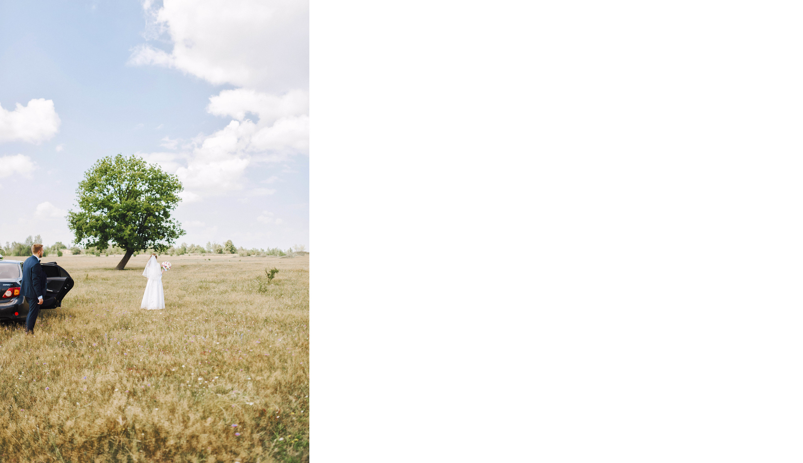 Всеволод и Ирина. Ivan Skufinsky — wedding and family photographer in Vancouver