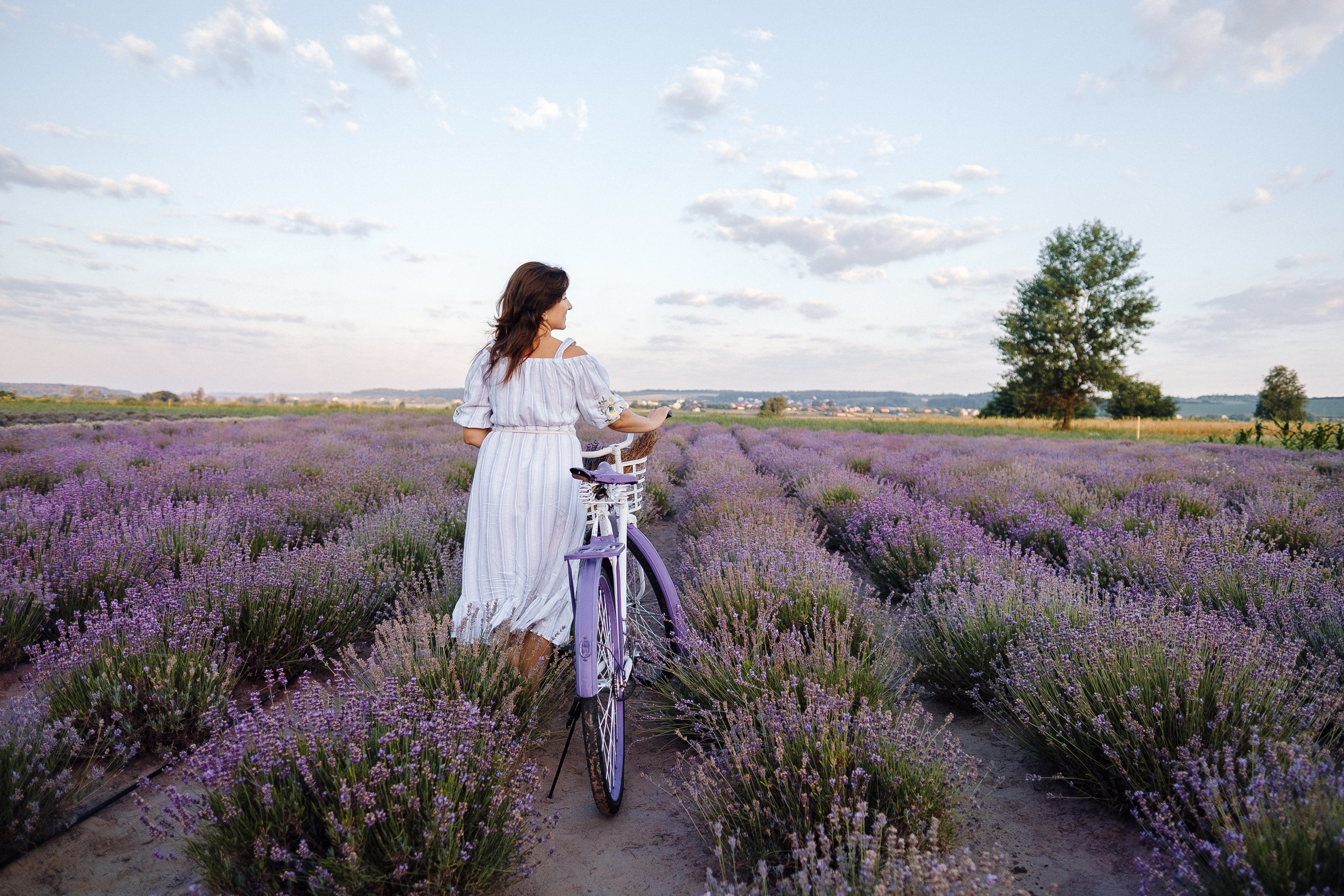LaVANda. Ivan Skufinsky — wedding and family photographer in Vancouver