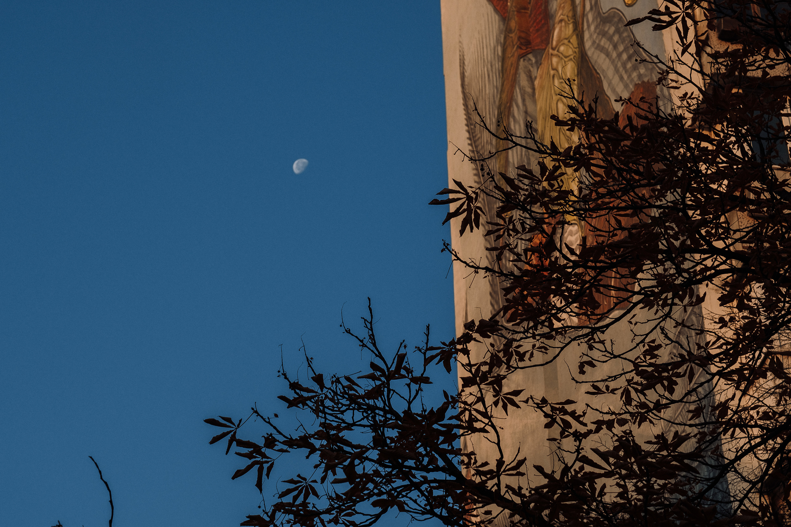 2019 19.10 WeddingStory Евгений+Юлия. Ivan Skufinsky — wedding and family photographer in Vancouver