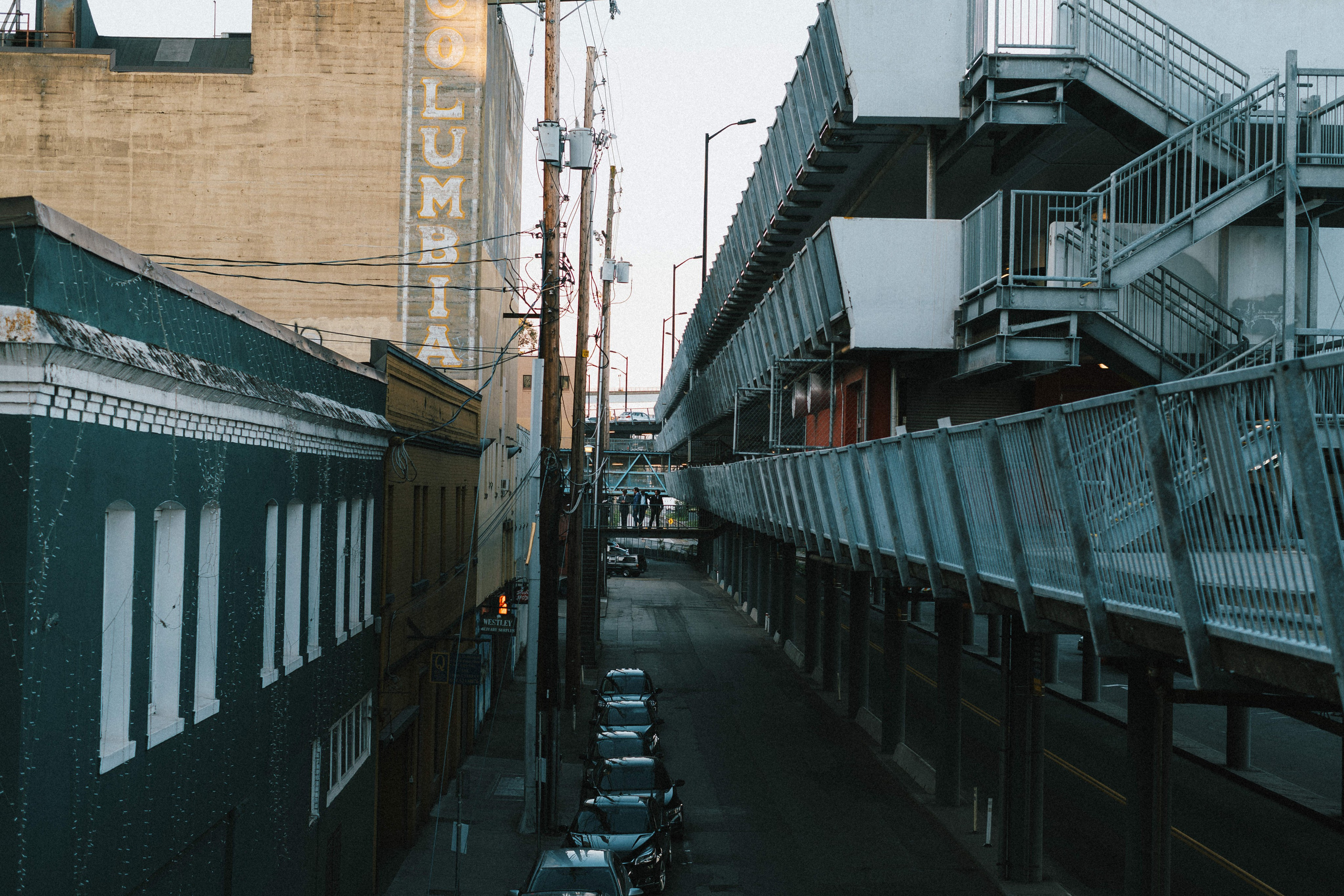 SHEEPSKIN. Ivan Skufinsky — wedding and family photographer in Vancouver