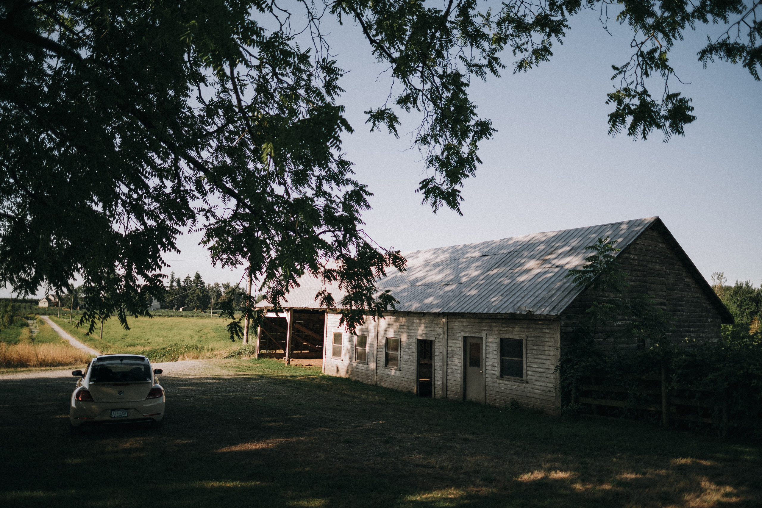 BTS -=NIGHT ROUTINE=- 2024. Ivan Skufinsky — wedding and family photographer in Vancouver