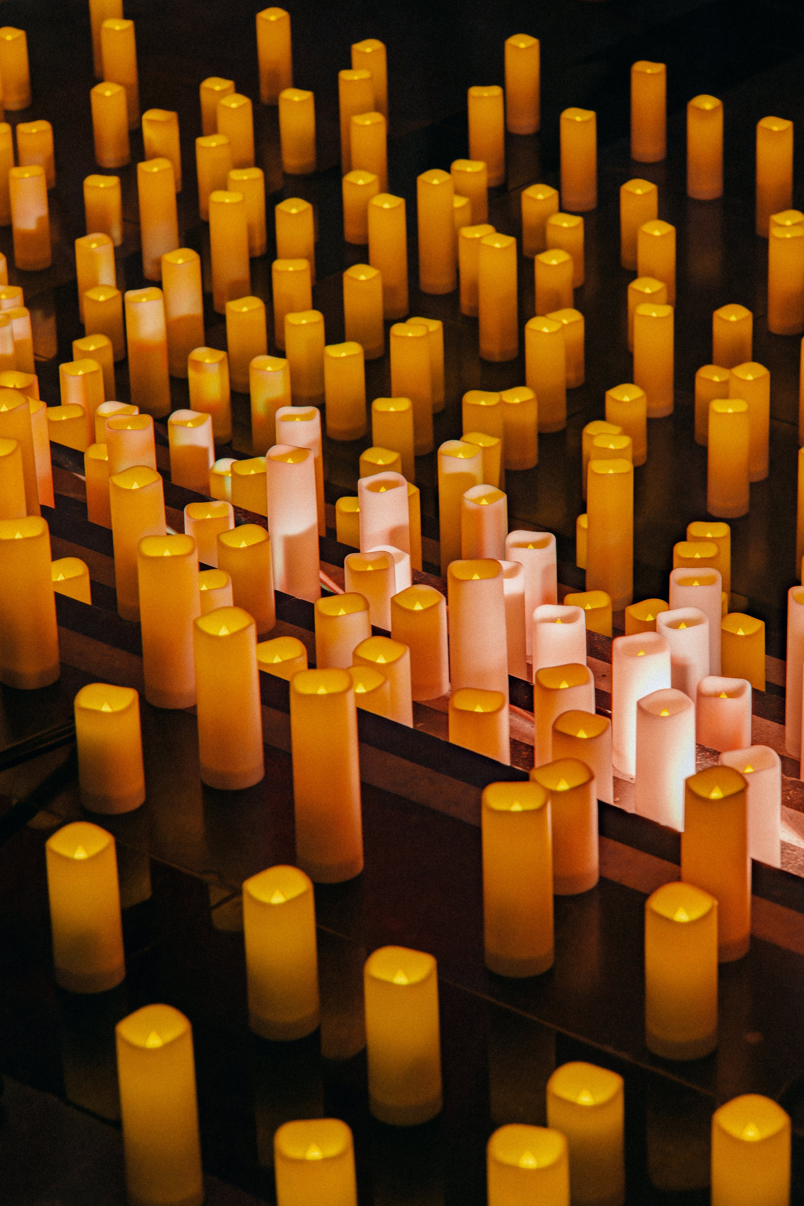 Live concert photography from Vivienne Mort in Vancouver 2025. Ivan Skufinsky — wedding and family photographer in Vancouver