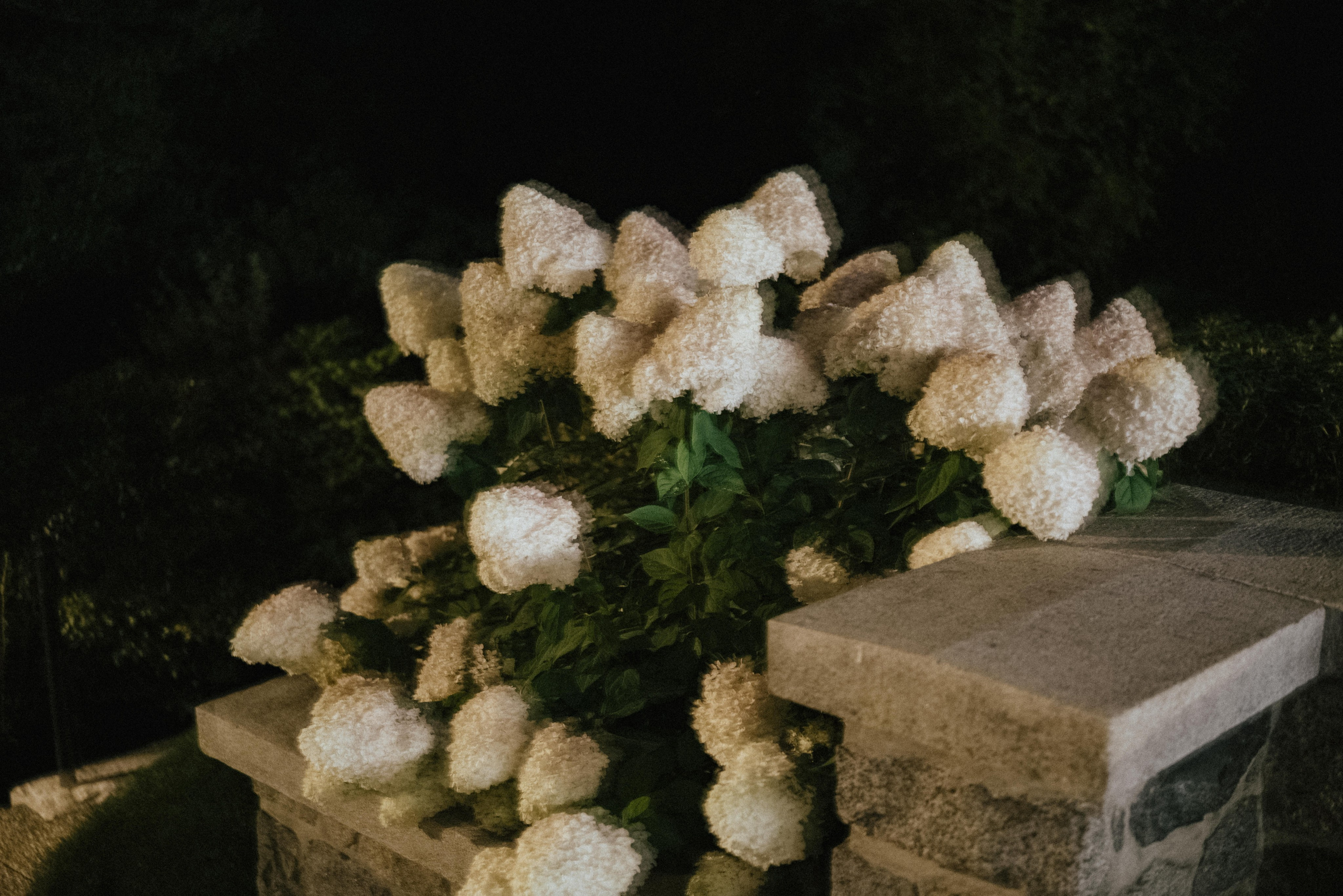 Cecil Green Park House Wedding Photographer & Videographer Vancouver