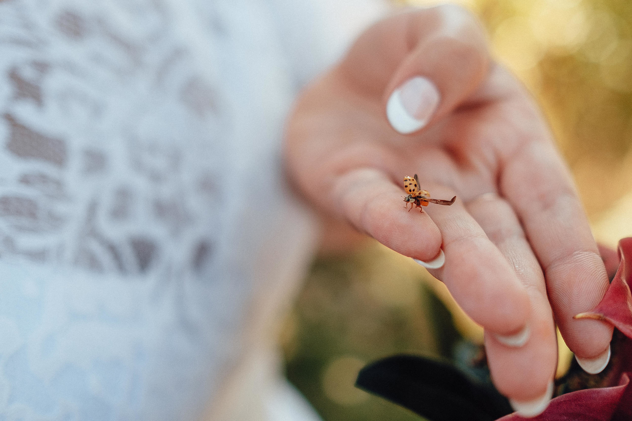 13.09.2018 Wedding Story. Ivan Skufinsky — wedding and family photographer in Vancouver