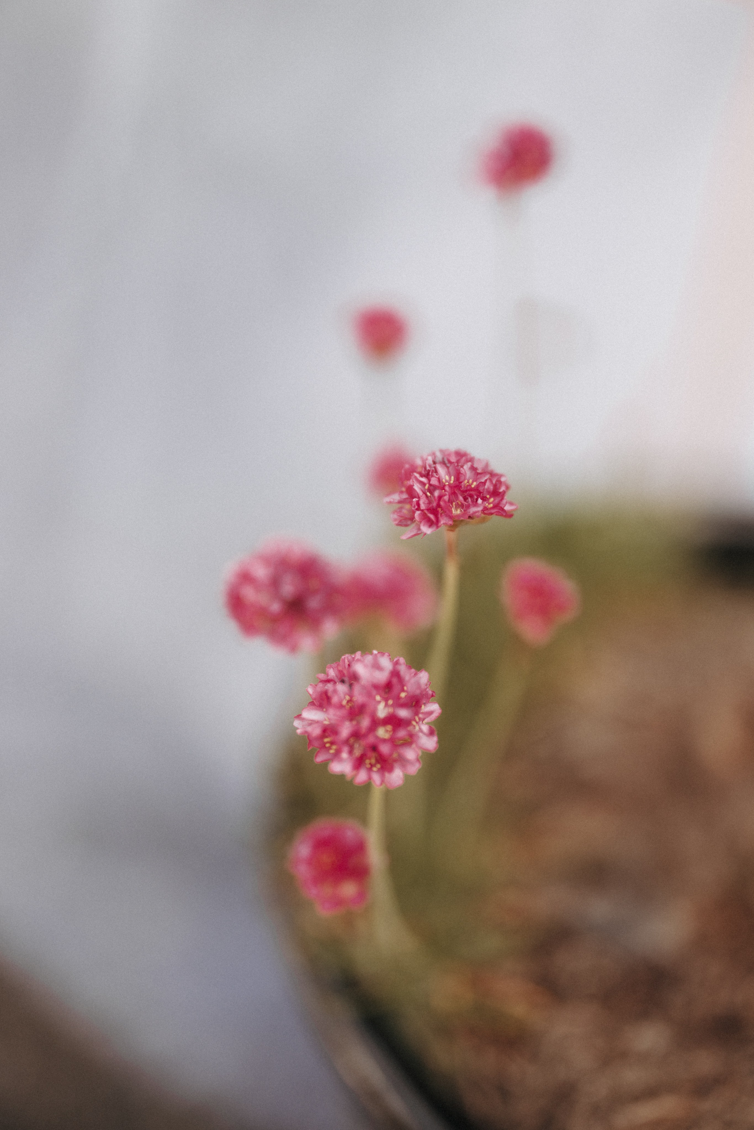 Michael & Caitlyn. Ivan Skufinsky — wedding and family photographer in Vancouver