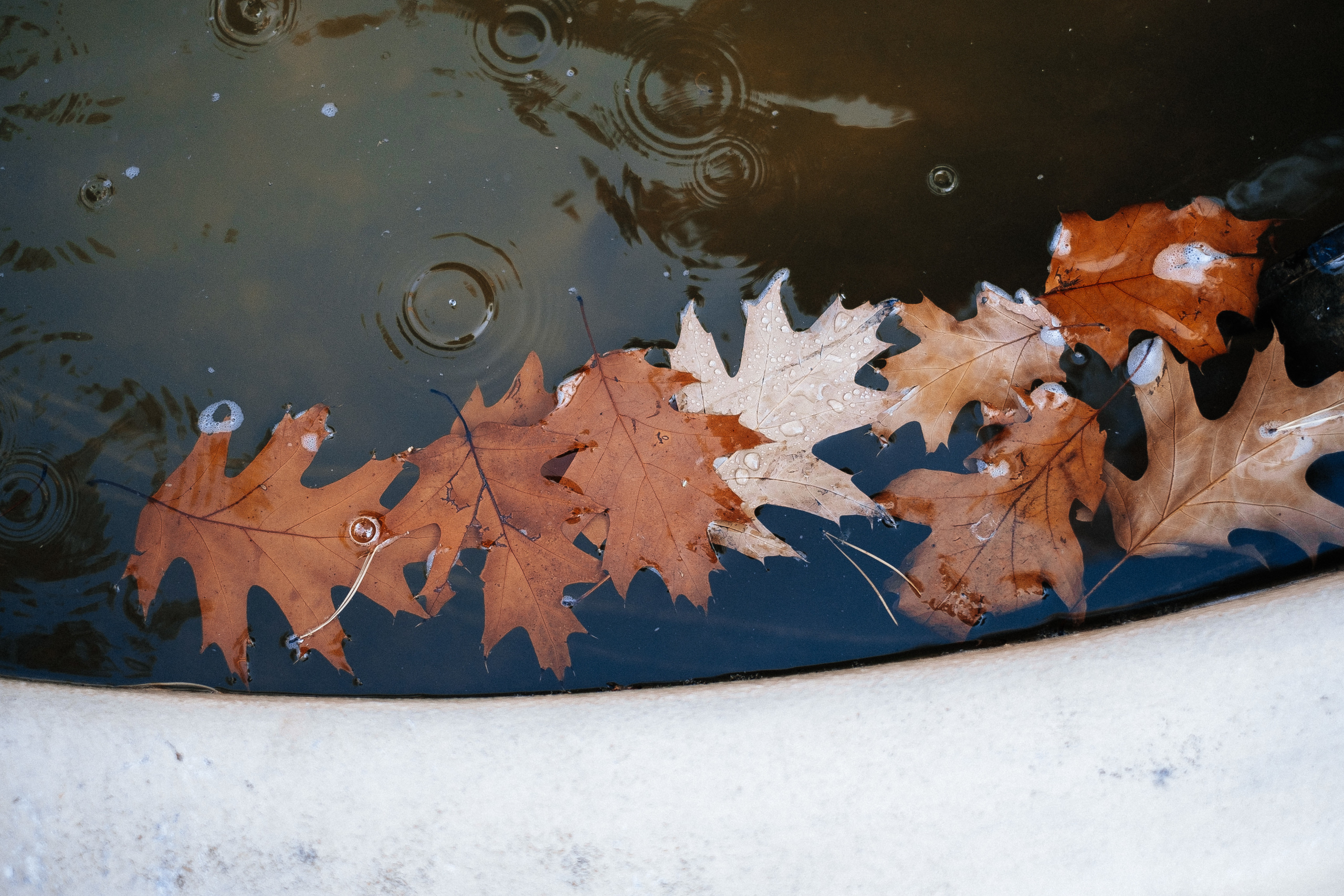 2019 19.10 WeddingStory Евгений+Юлия. Ivan Skufinsky — wedding and family photographer in Vancouver