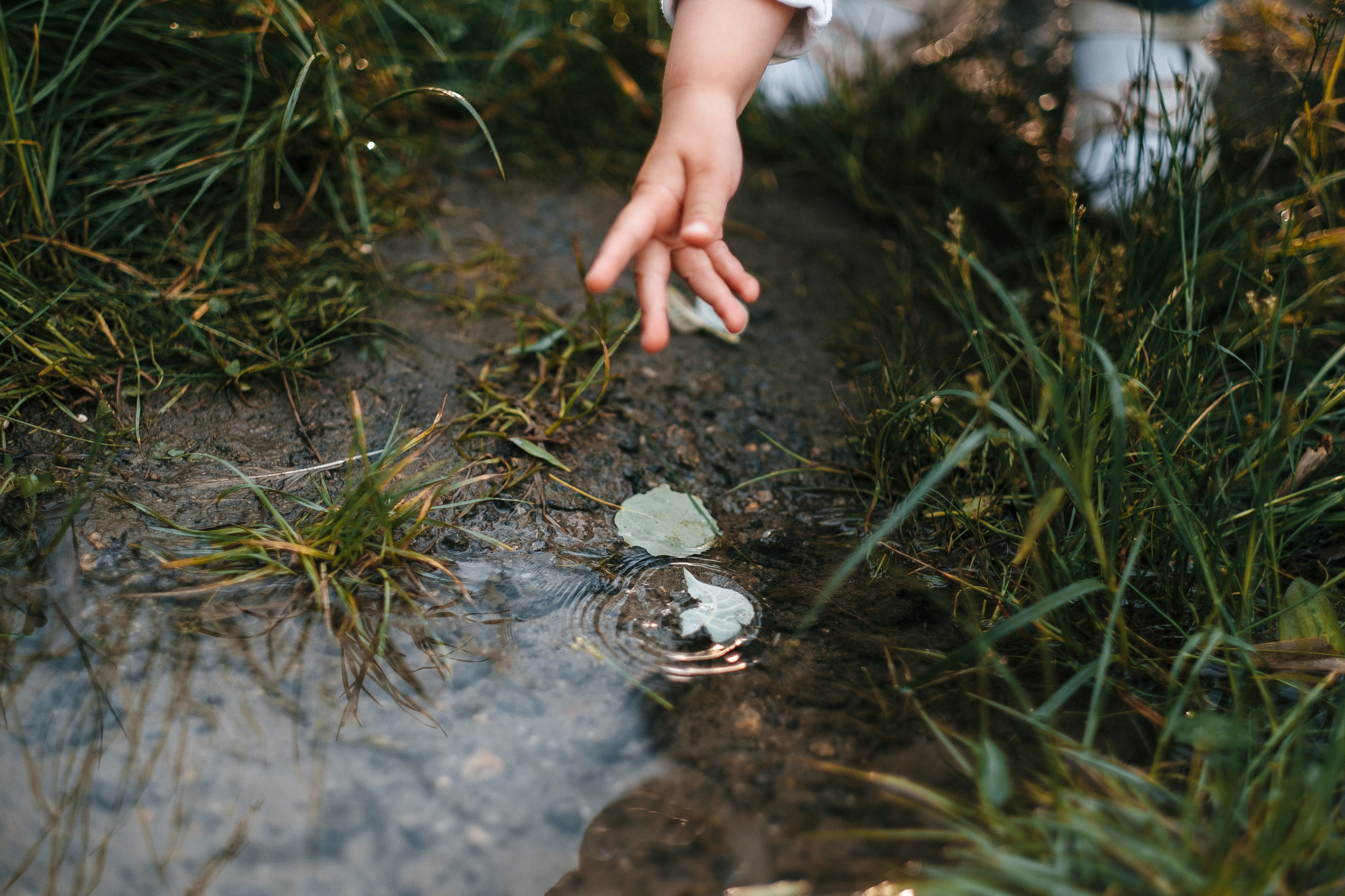 Family STory. Ivan Skufinsky — wedding and family photographer in Vancouver