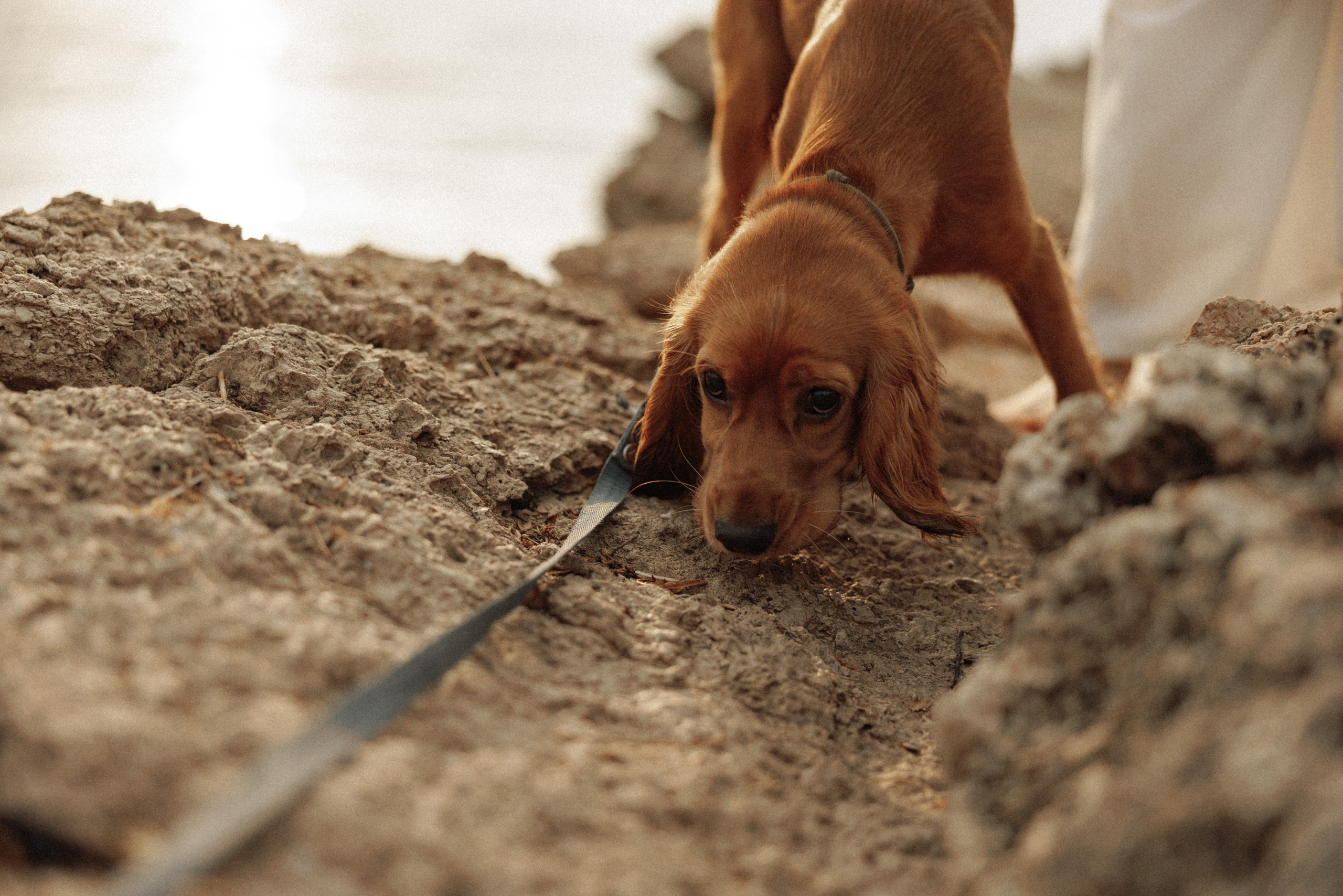 Alsu & Anton. Izmir. Ivan Skufinsky — wedding and family photographer in Vancouver