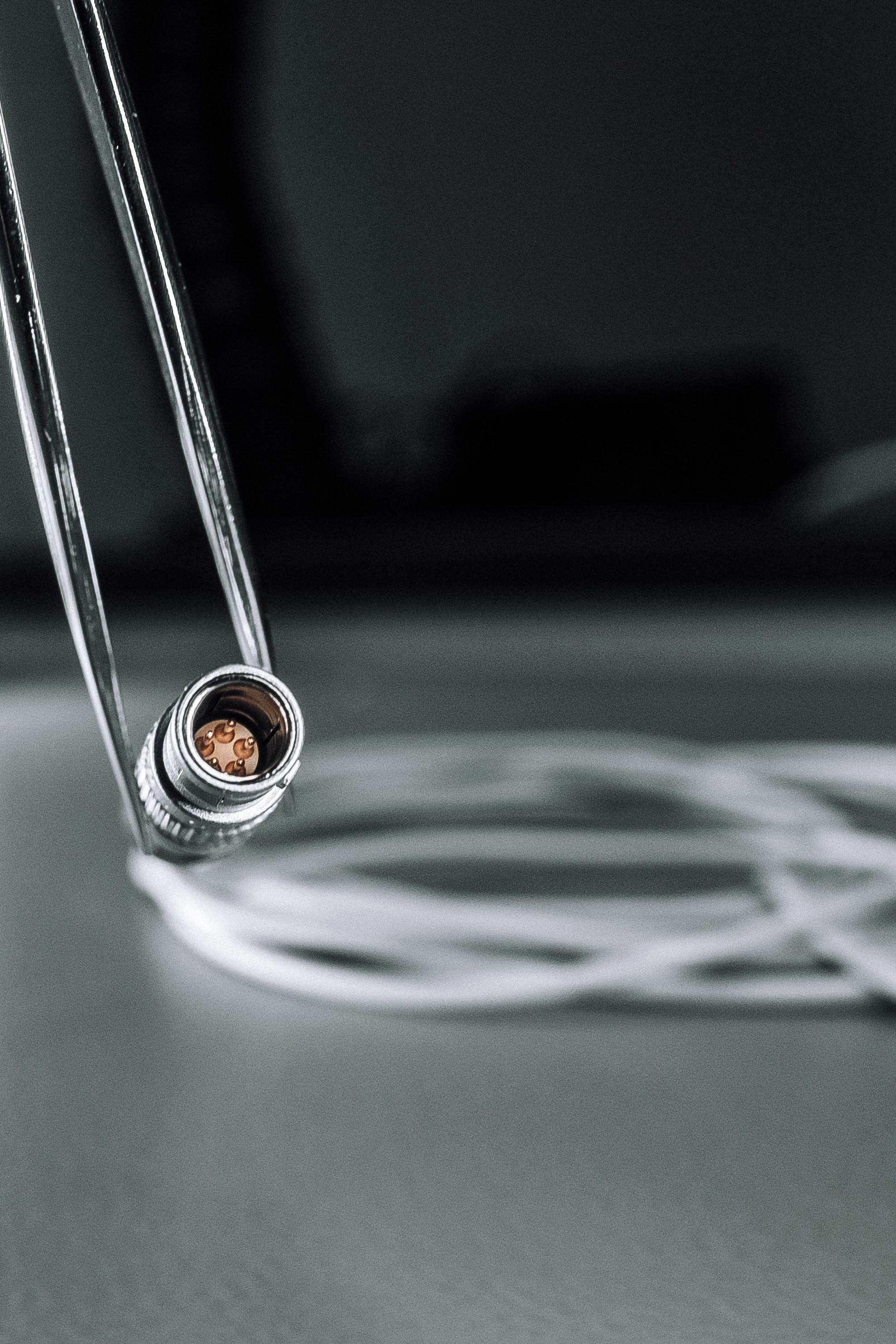 E & E Cable Solutions Factory. Ivan Skufinsky — wedding and family photographer in Vancouver