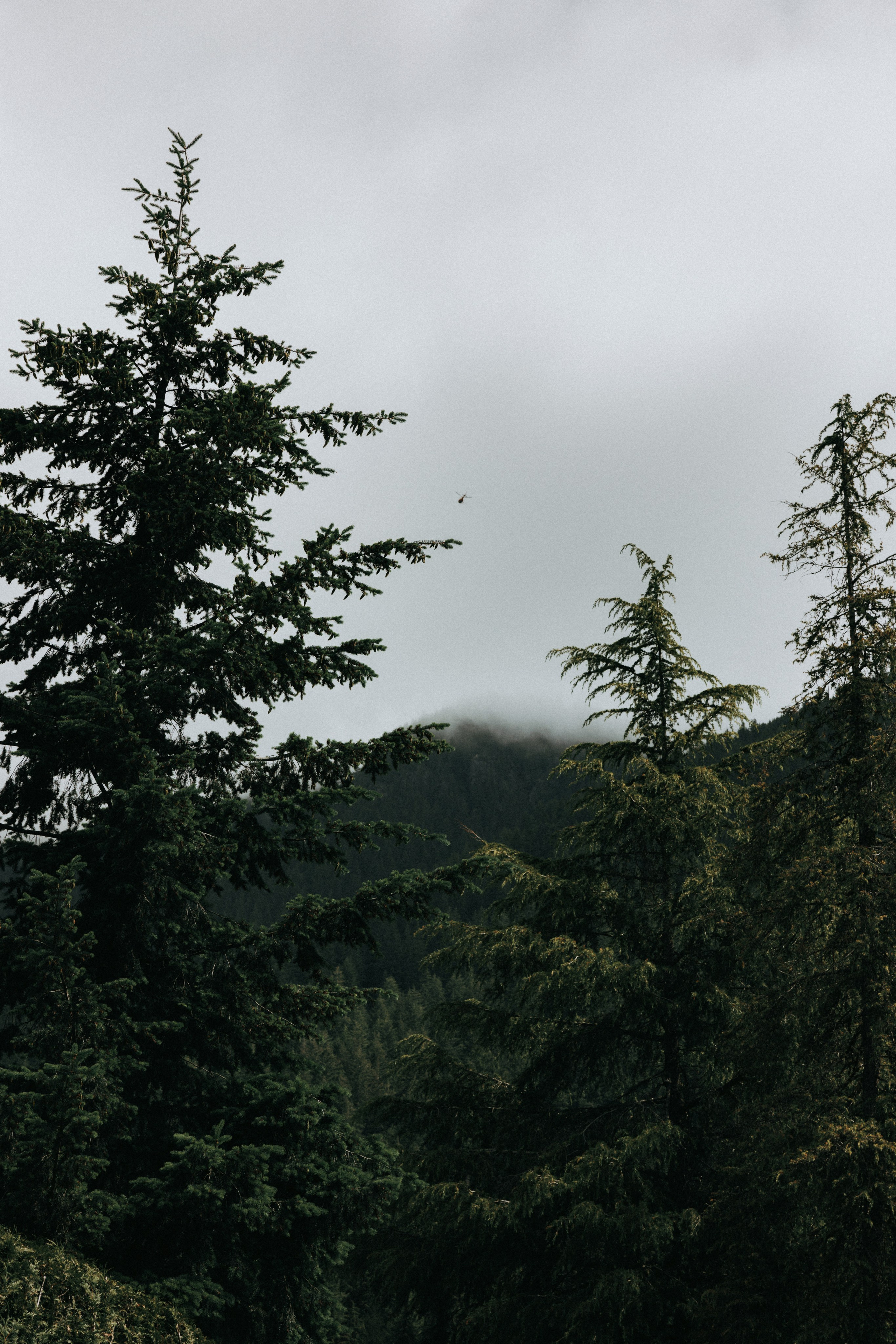 Michael & Caitlyn. Ivan Skufinsky — wedding and family photographer in Vancouver