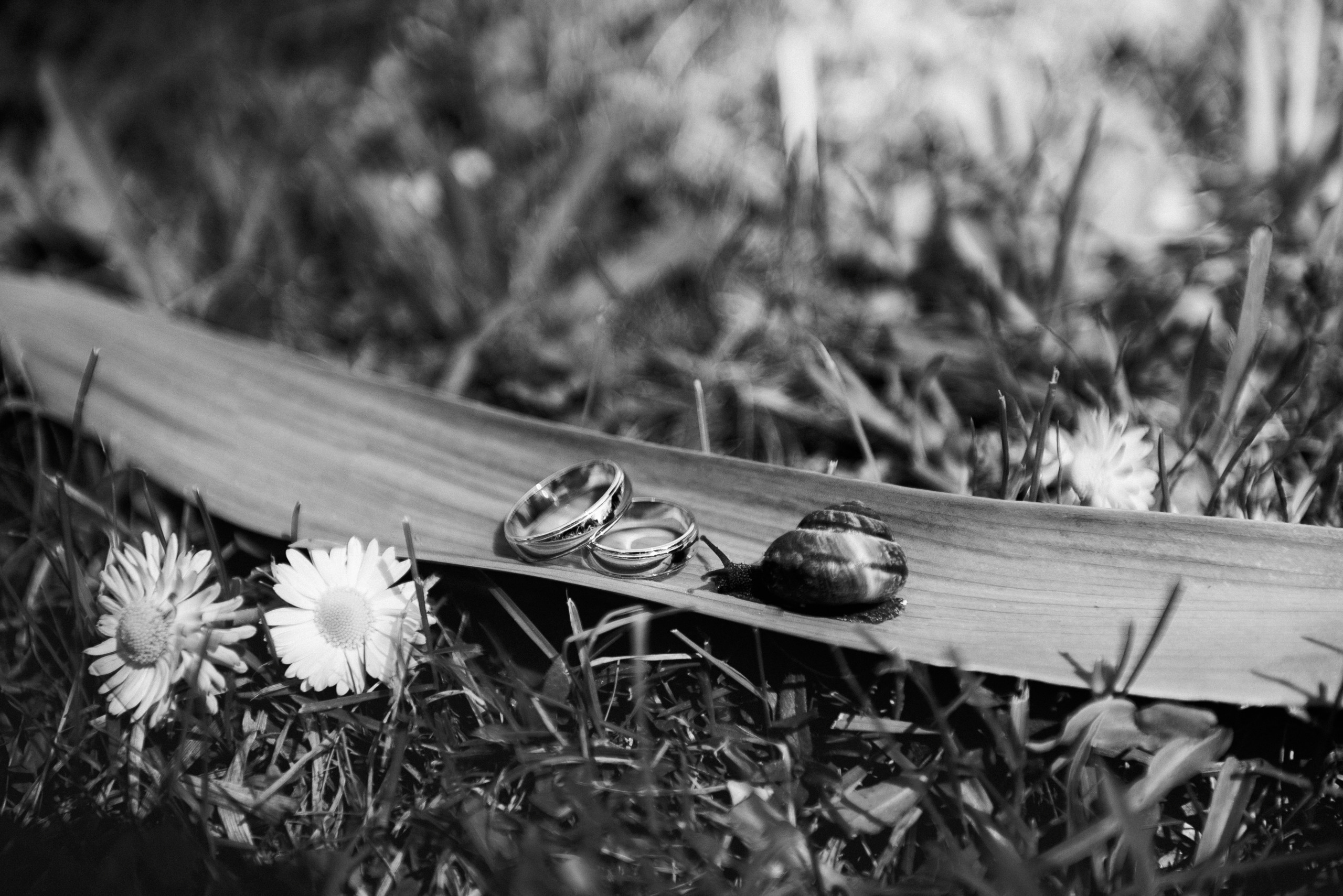 Виктор+Катя. Ivan Skufinsky — wedding and family photographer in Vancouver