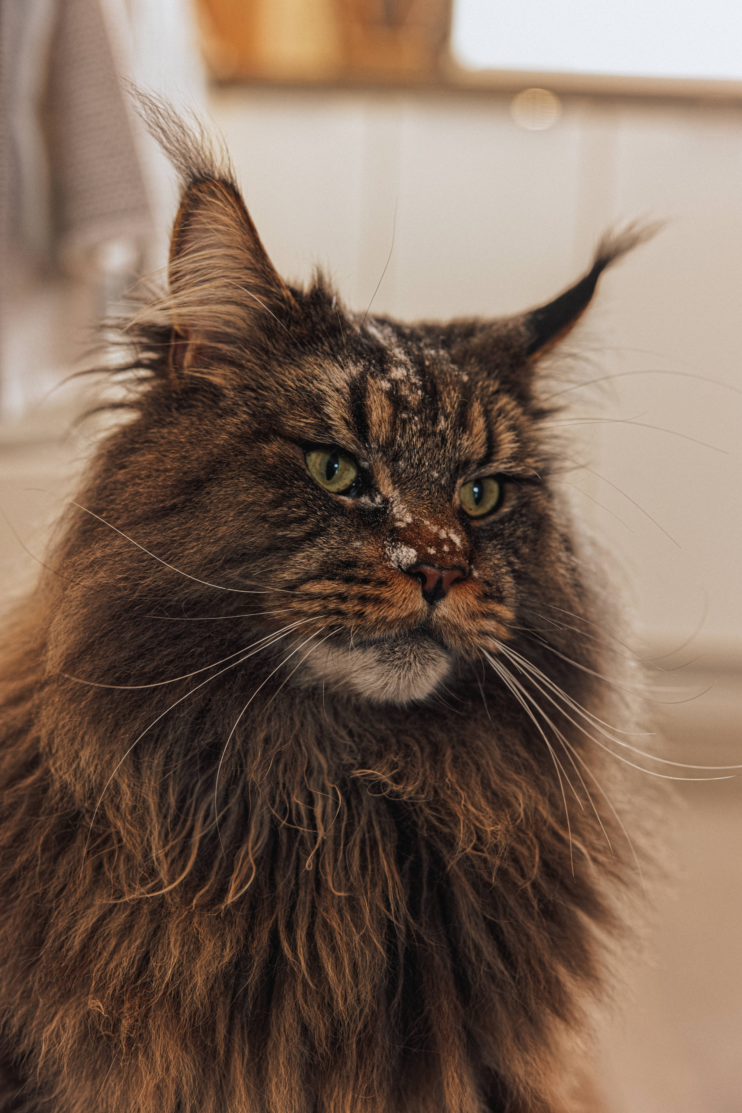 Pregnancy Home Story Vancouver. Ivan Skufinsky — wedding and family photographer in Vancouver