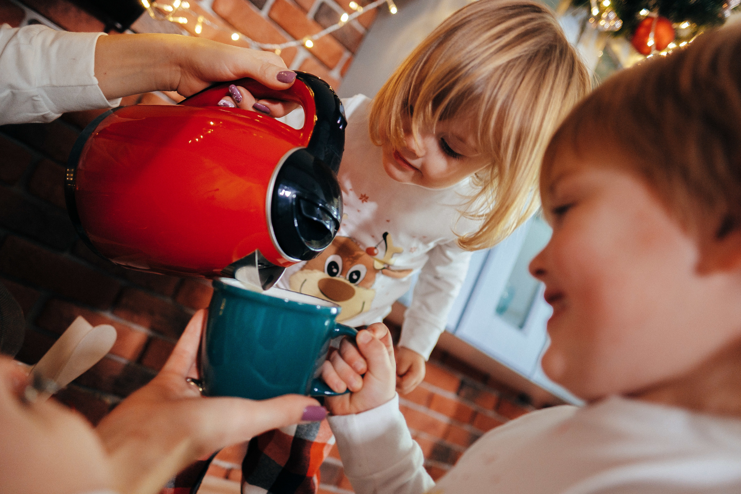 Рождественский переполох). Ivan Skufinsky — wedding and family photographer in Vancouver