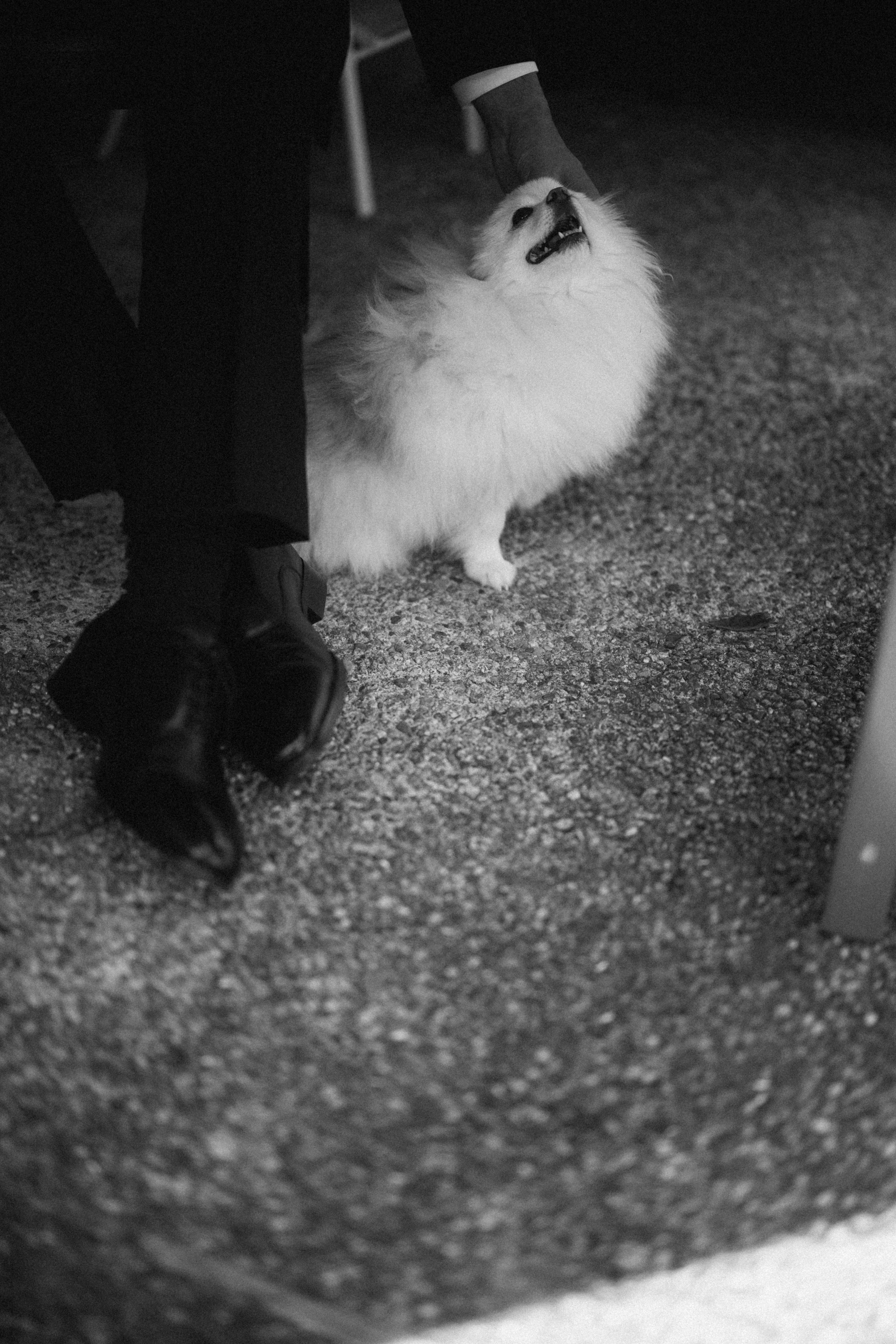 Michael & Caitlyn. Ivan Skufinsky — wedding and family photographer in Vancouver