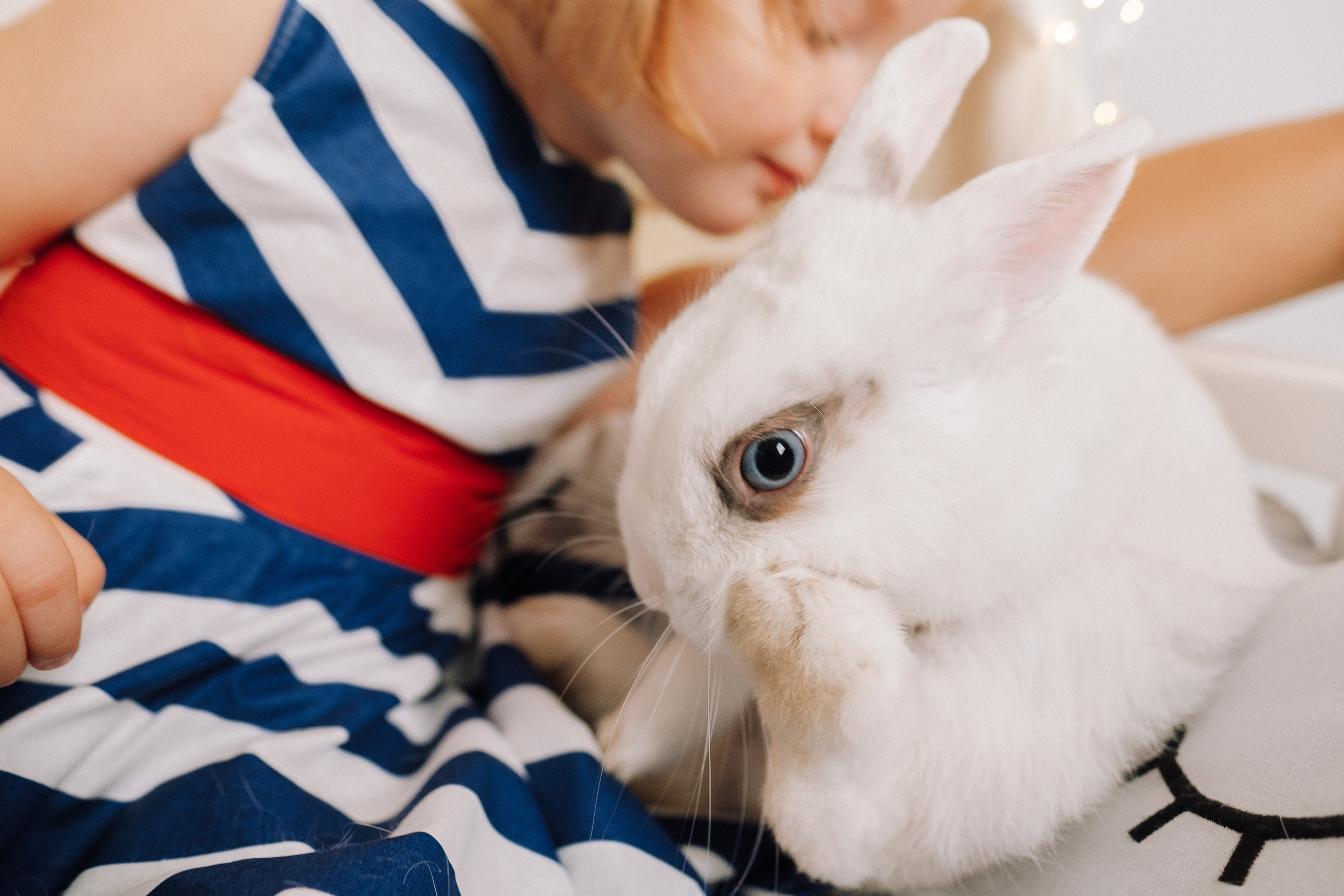 Family Story. Ivan Skufinsky — wedding and family photographer in Vancouver