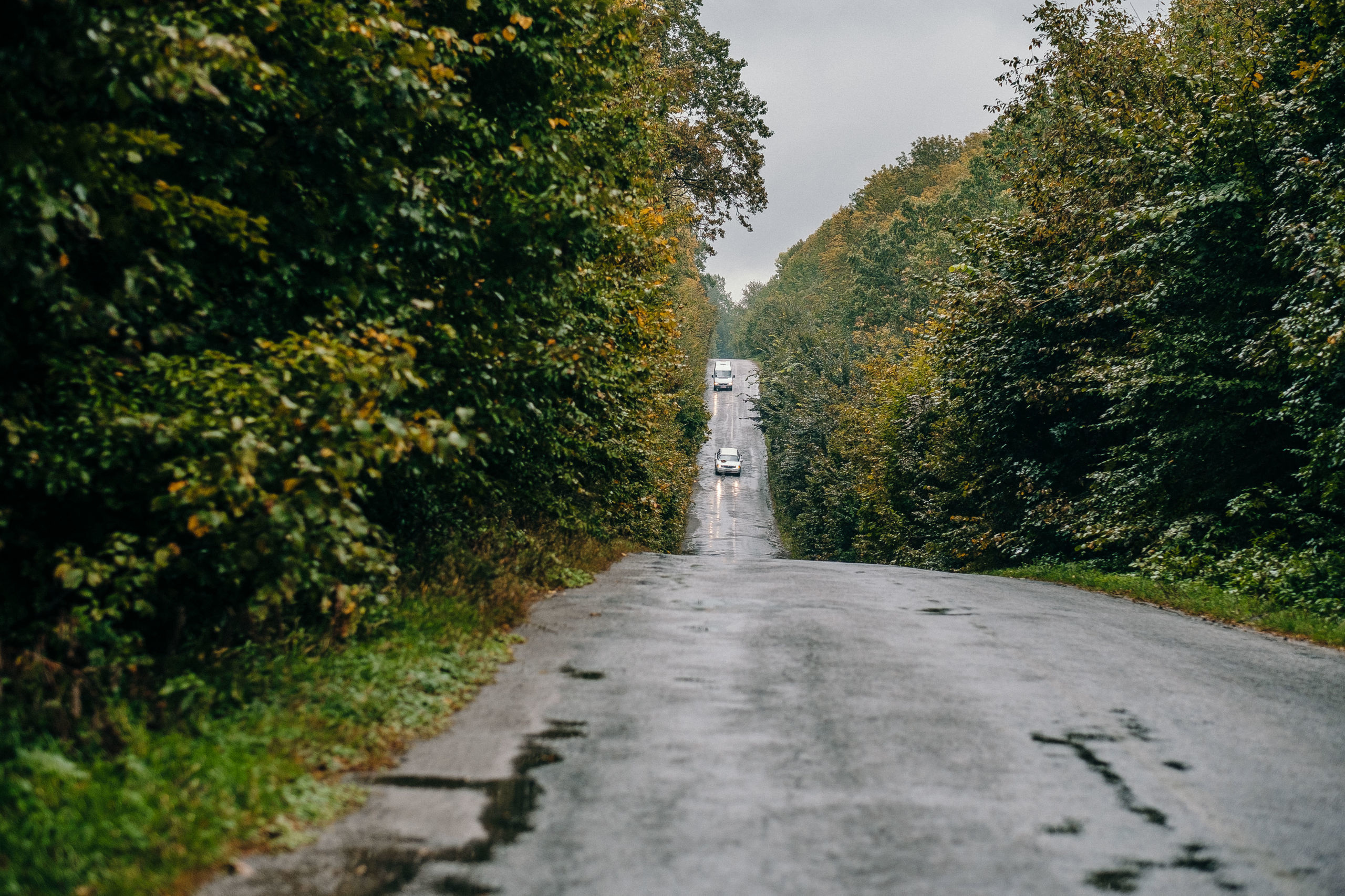 29.09.2018 Wedding Story. Ivan Skufinsky — wedding and family photographer in Vancouver